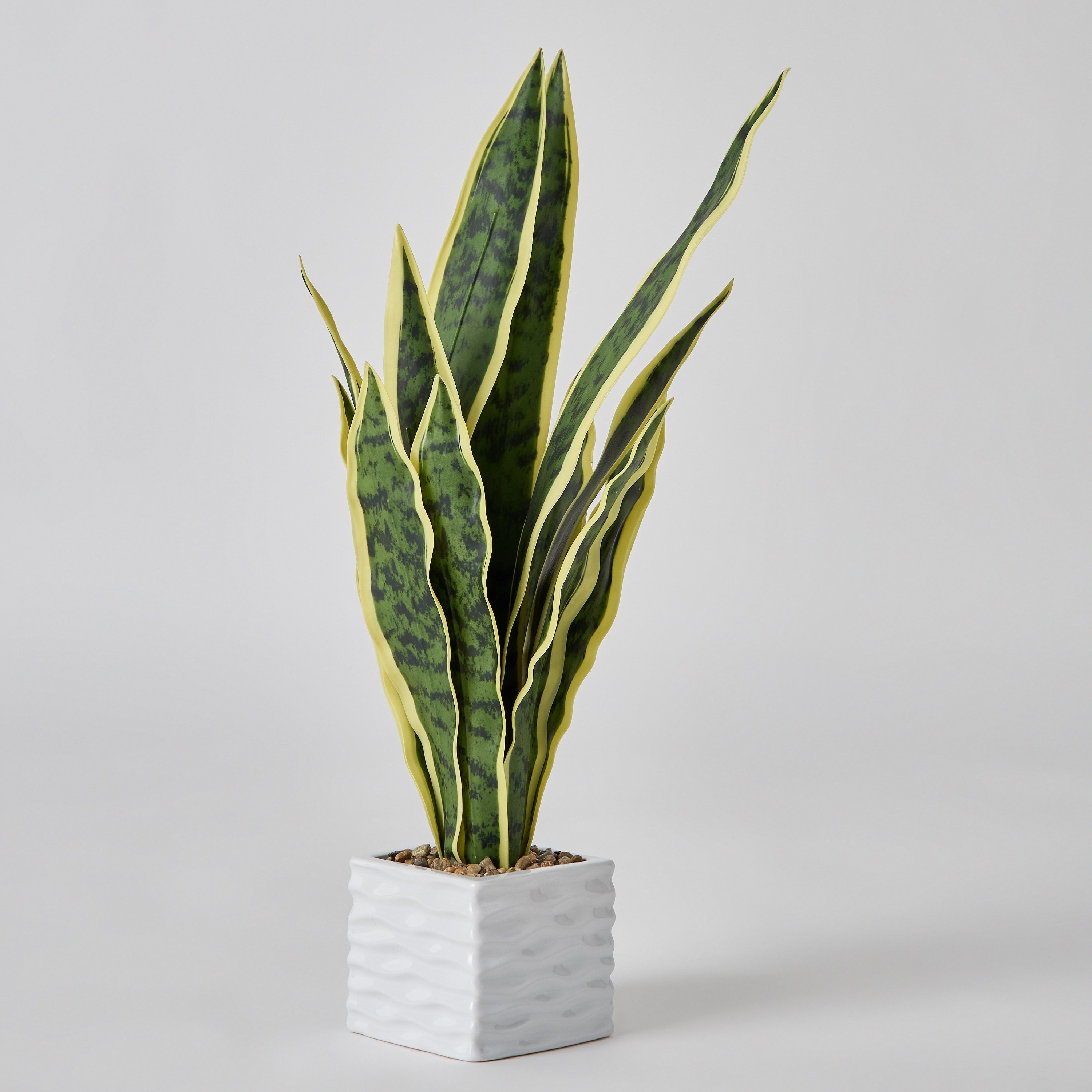 Ceilo Snake Potted Plant with Ceramic Pot - 14x14x58 cm-hbxhomeware-hbxdecorandfurnishings-image-5