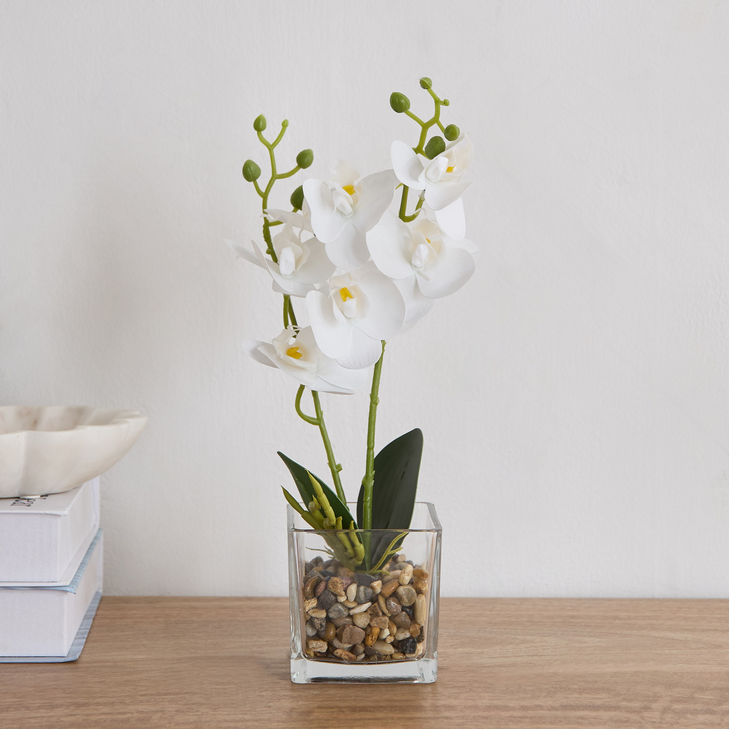 Ceilo White Orchid Flower Potted Plant with Glass Pot and Pebbles - 10x10x32 cm-PROMO_QA_HB_B1G1_WWS_271025-image-1