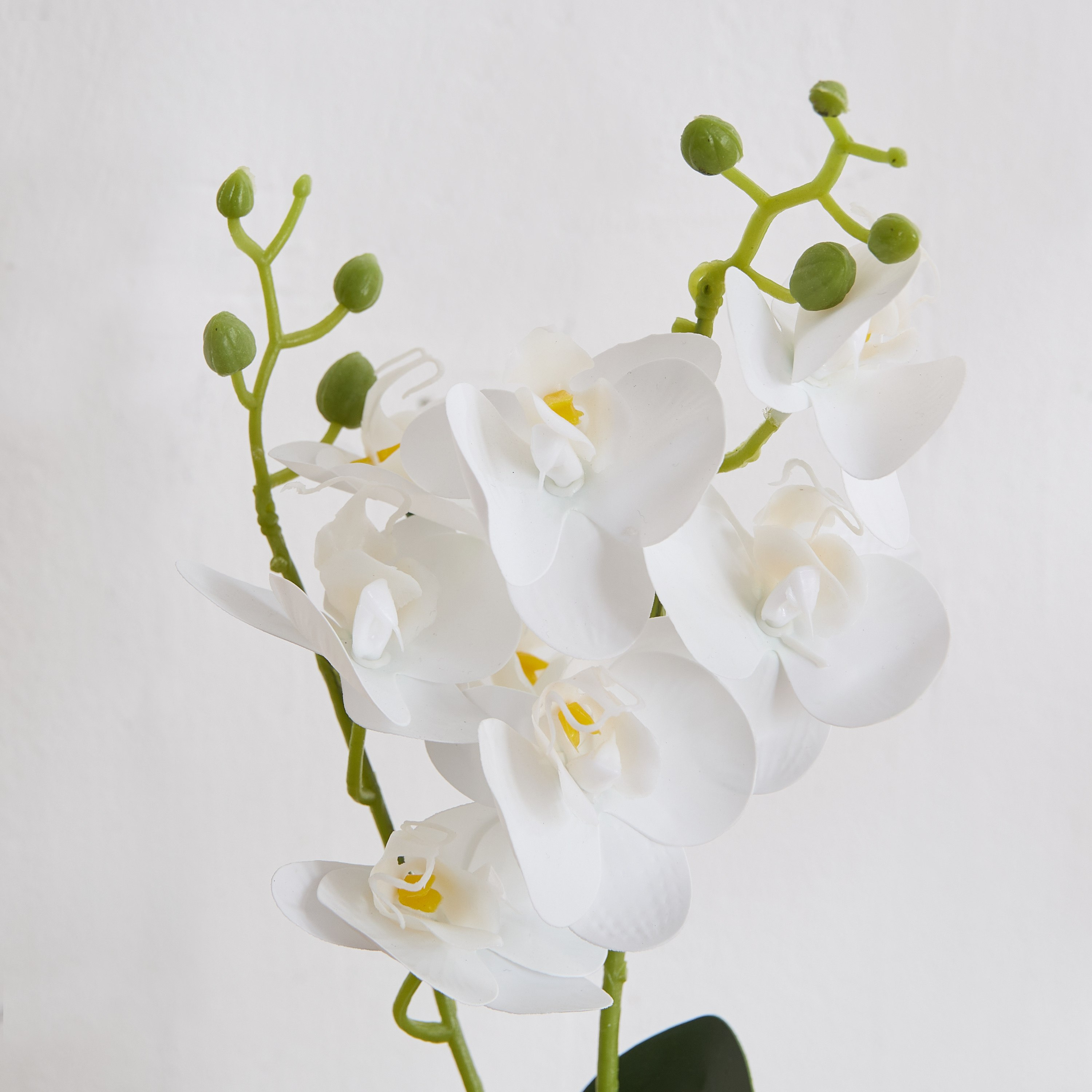 Ceilo White Orchid Flower Potted Plant with Glass Pot and Pebbles - 10x10x32 cm-PROMO_QA_HB_B1G1_WWS_271025-image-2