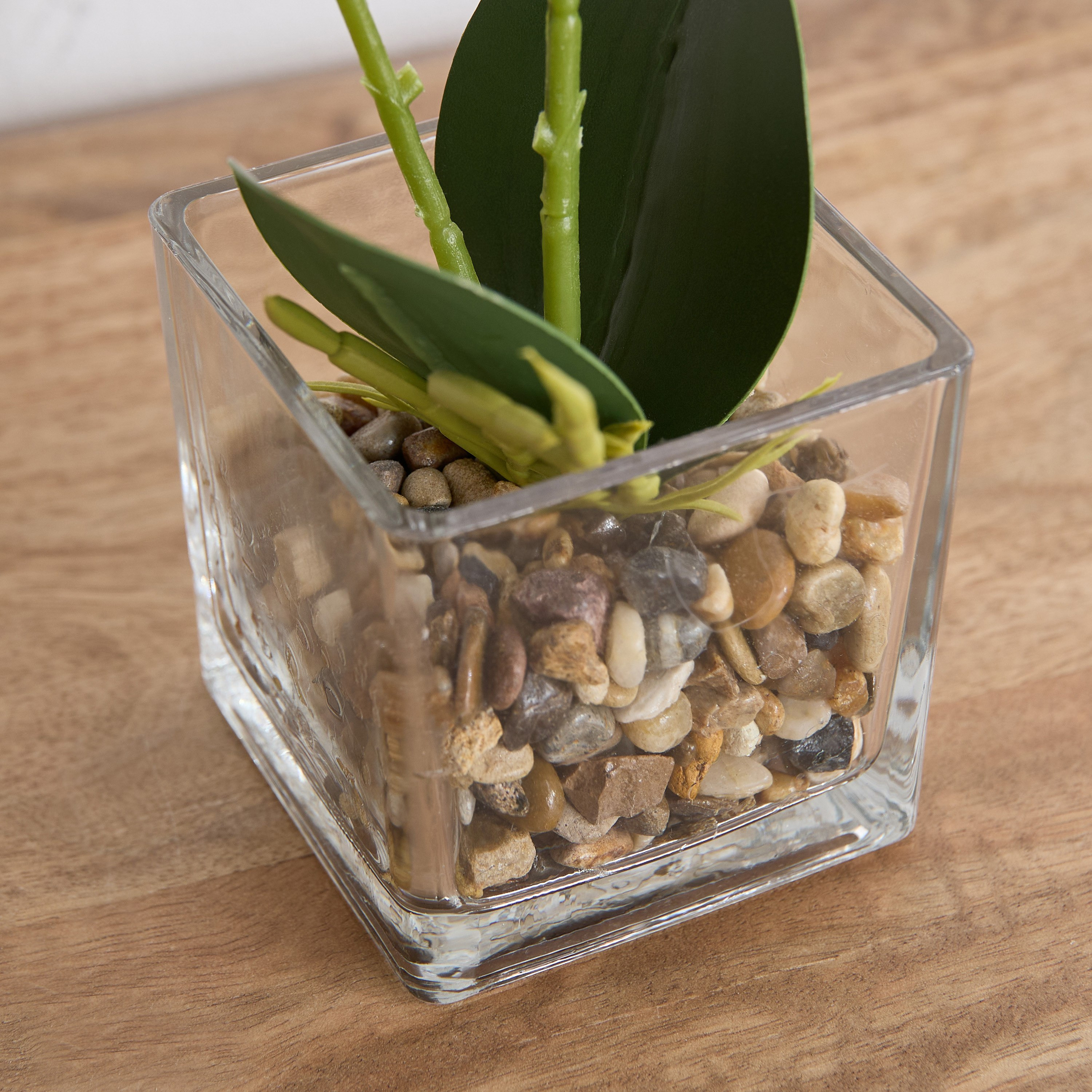 Ceilo White Orchid Flower Potted Plant with Glass Pot and Pebbles - 10x10x32 cm-PROMO_QA_HB_B1G1_WWS_271025-image-3