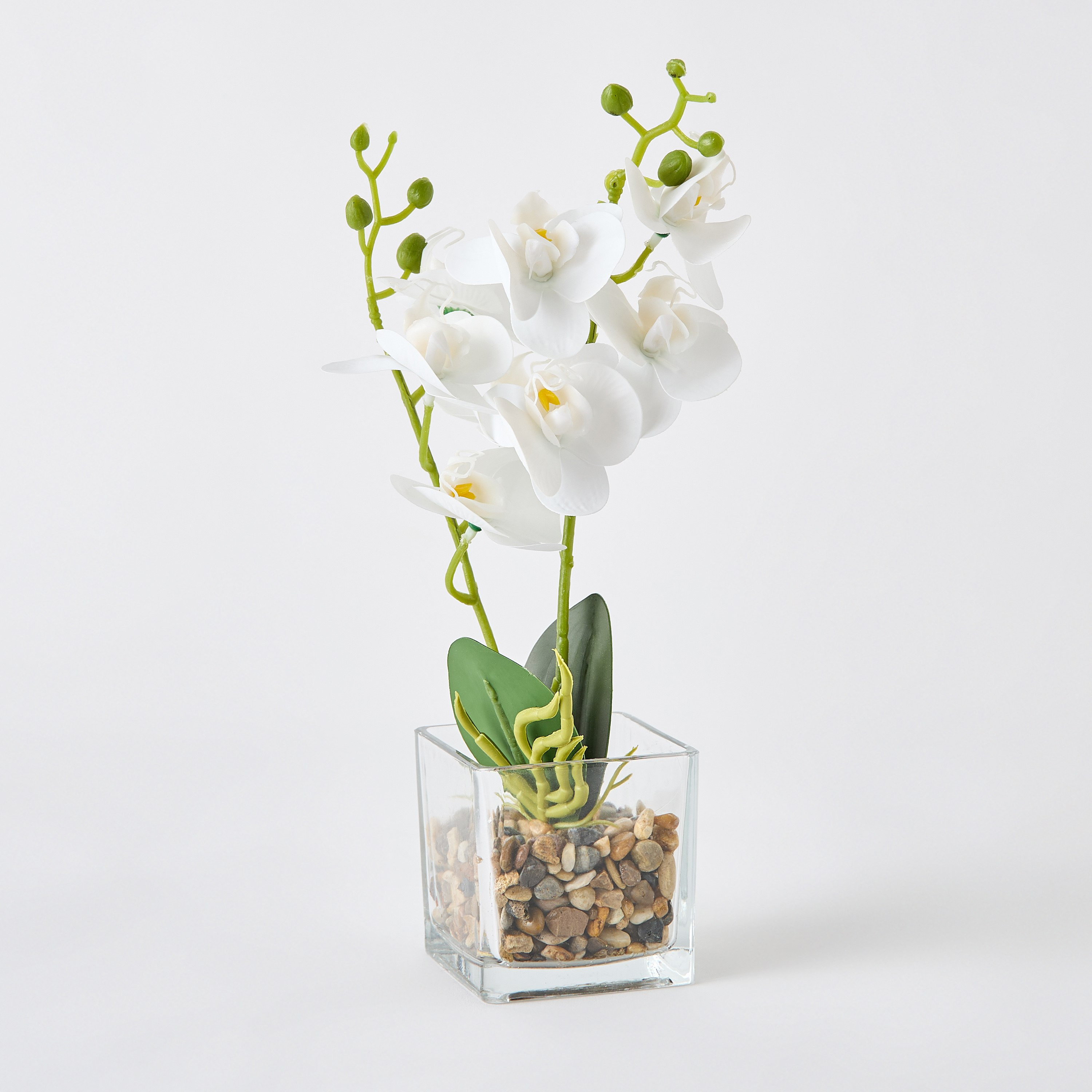 Ceilo White Orchid Flower Potted Plant with Glass Pot and Pebbles - 10x10x32 cm-PROMO_QA_HB_B1G1_WWS_271025-image-5