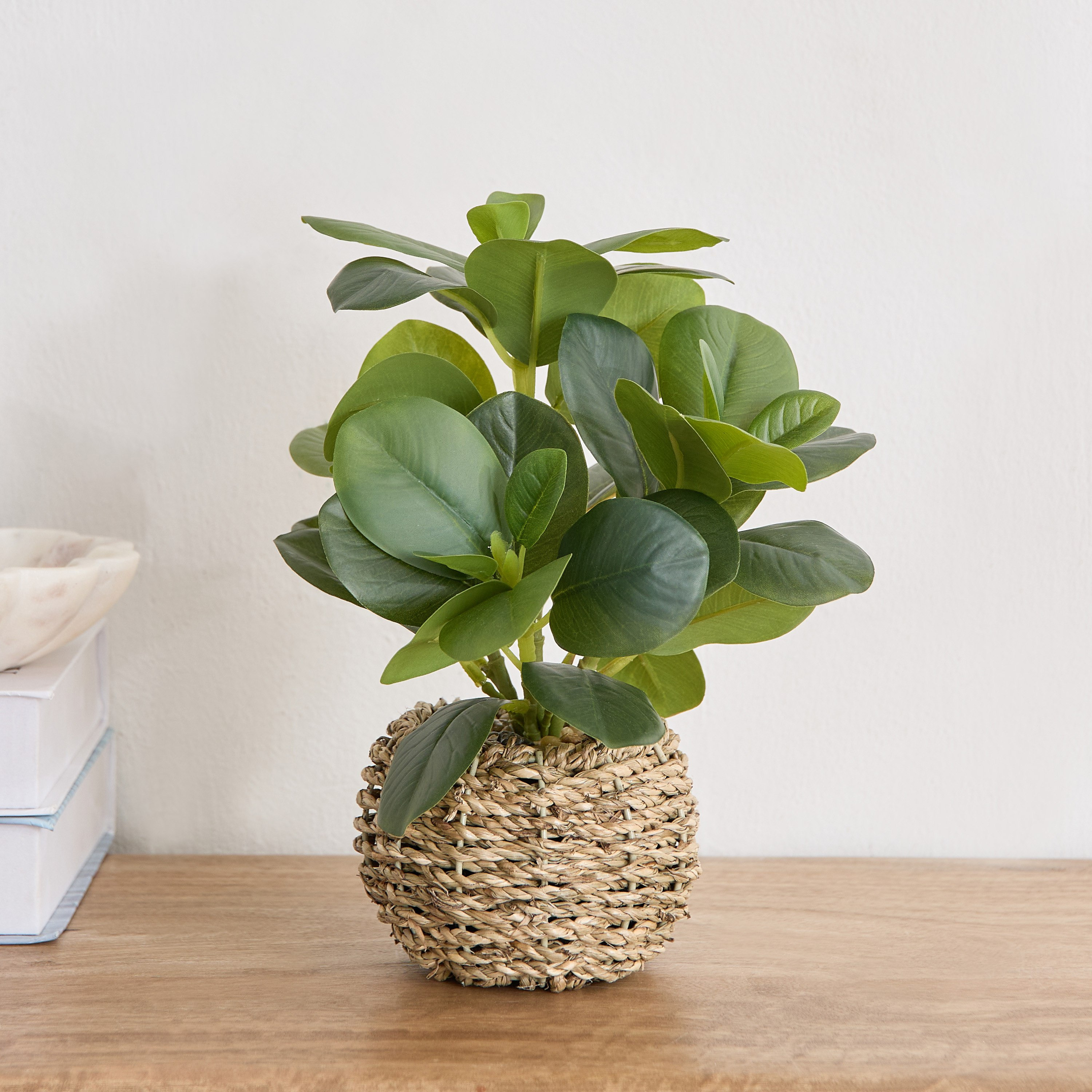 Ceilo Peperomia Lead Plant with Rattan Pot - 15x15x23 cm-PROMO_HB_AE_B1G1_250925-image-1