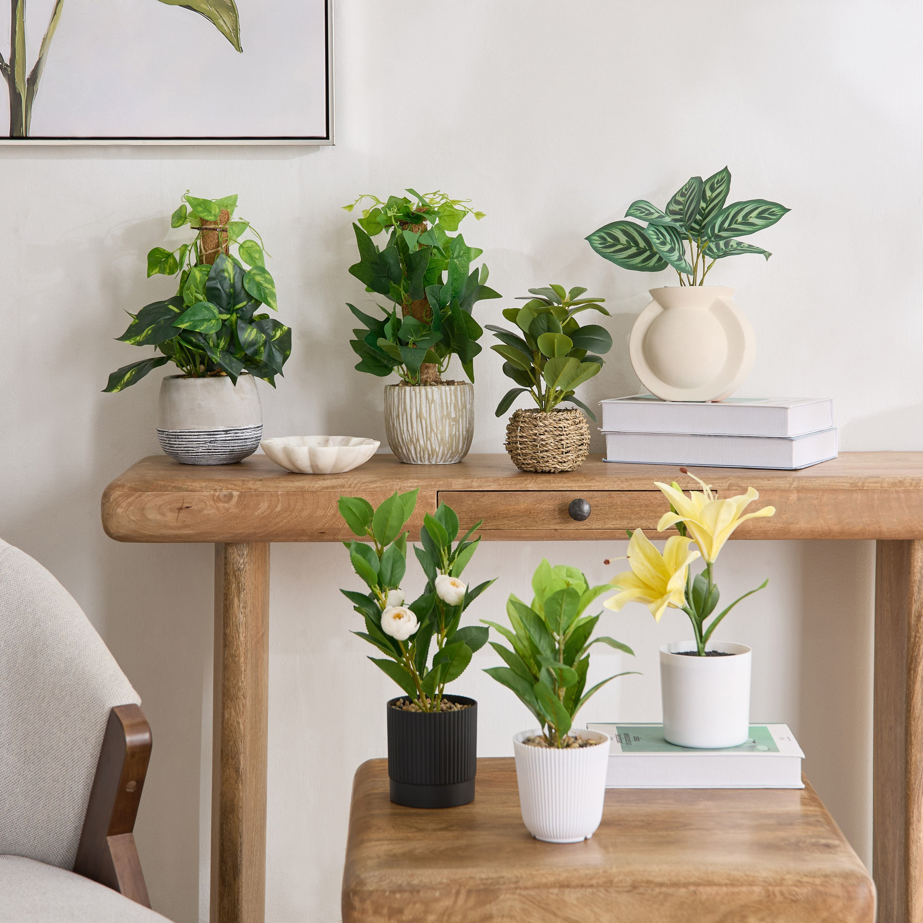 Ceilo Peperomia Lead Plant with Rattan Pot - 15x15x23 cm-PROMO_HB_AE_B1G1_250925-image-4