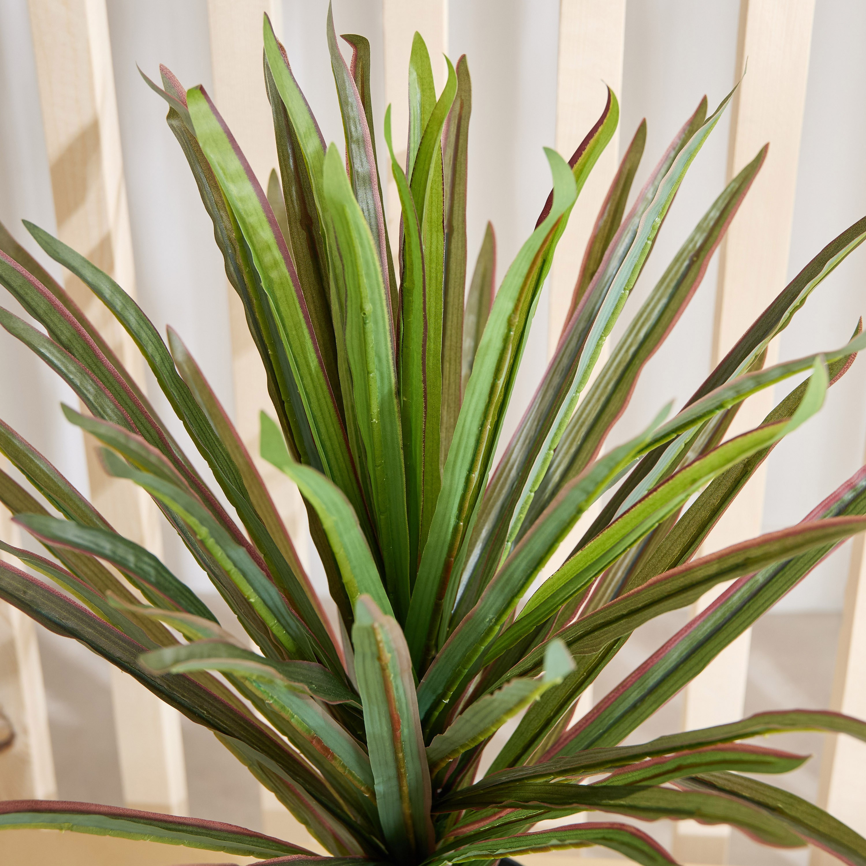 Triton Realtouch Artificial Yuccas Plant with Pot - 45x45x58 cm-PROMO_HB_AE_B2G2_011025-image-2