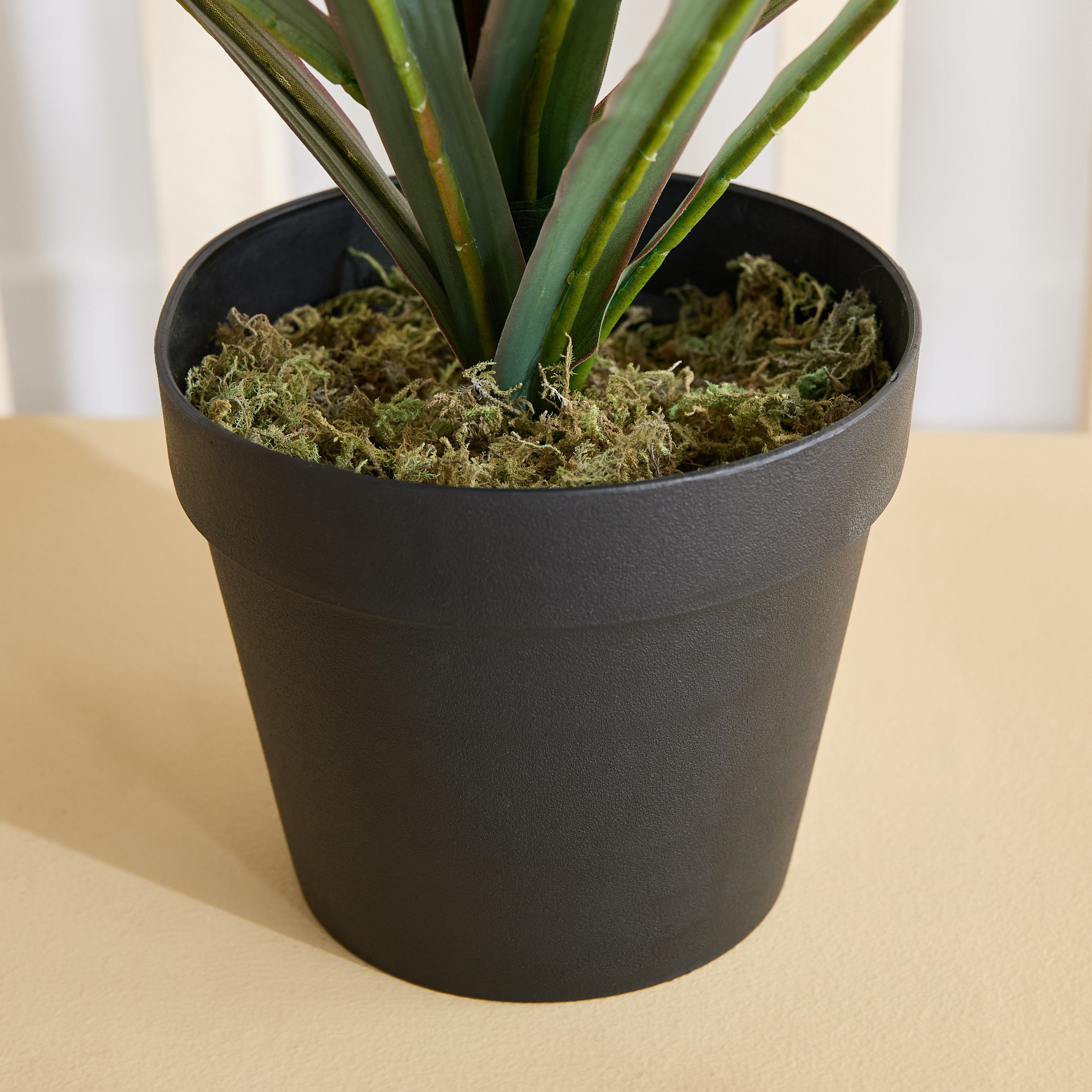 Triton Realtouch Artificial Yuccas Plant with Pot - 45x45x58 cm-PROMO_HB_AE_B2G2_011025-image-3