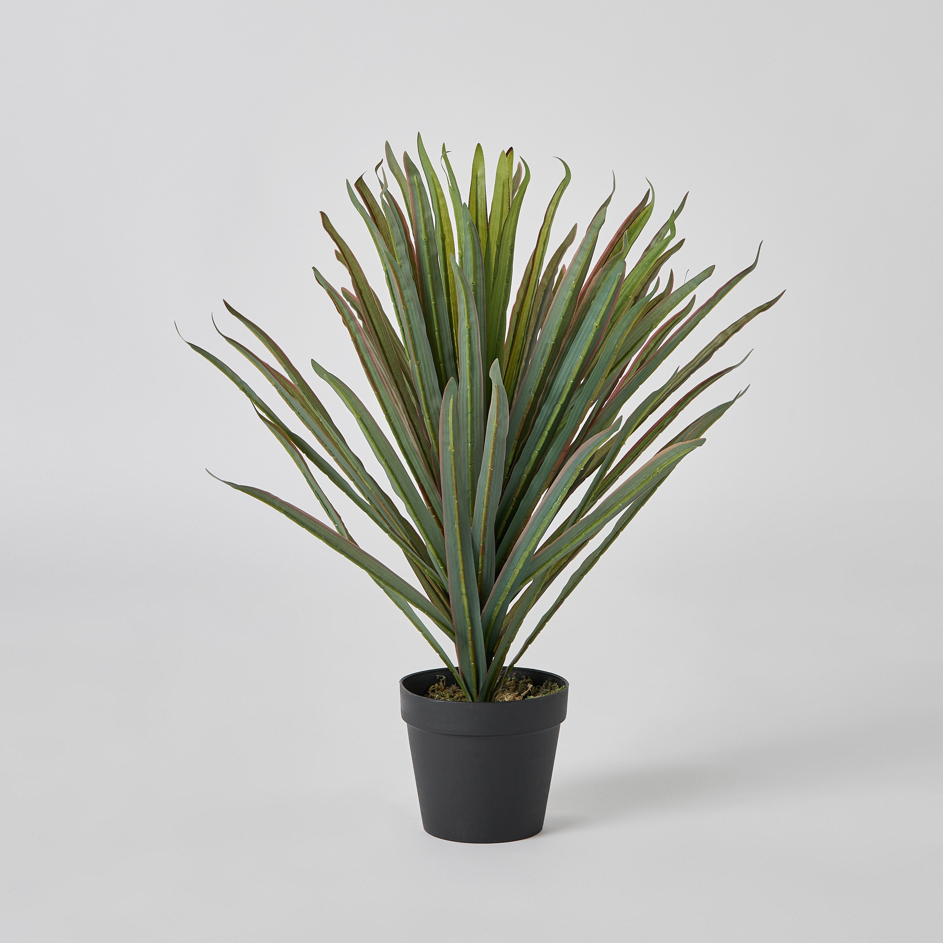 Triton Realtouch Artificial Yuccas Plant with Pot - 45x45x58 cm-PROMO_HB_AE_B2G2_011025-image-5