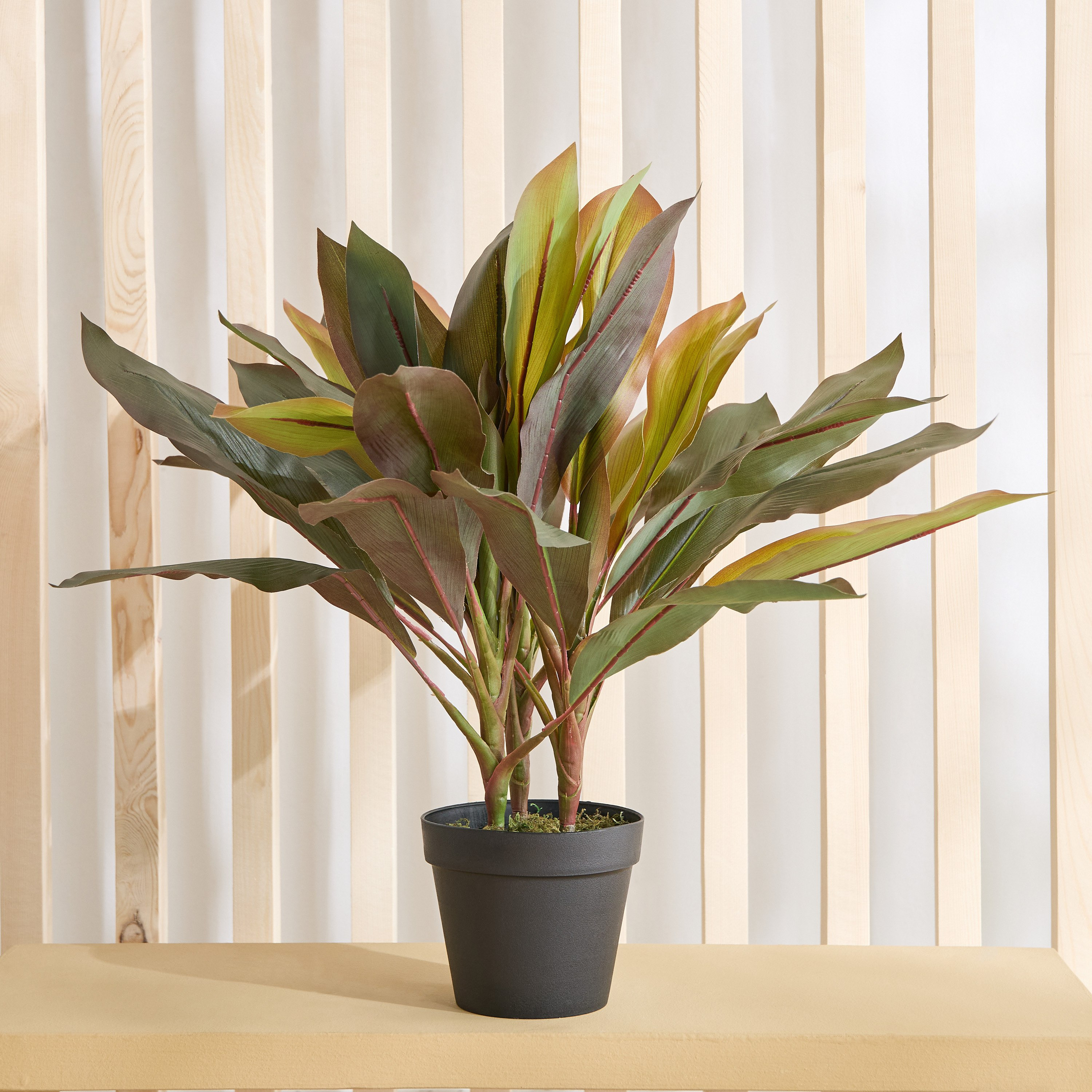 Triton Realtouch Artificial Cordyline Fruticosa Plant with Pot - 45x45x58 cm-PROMO_HB_AE_B1G1_250925-image-1