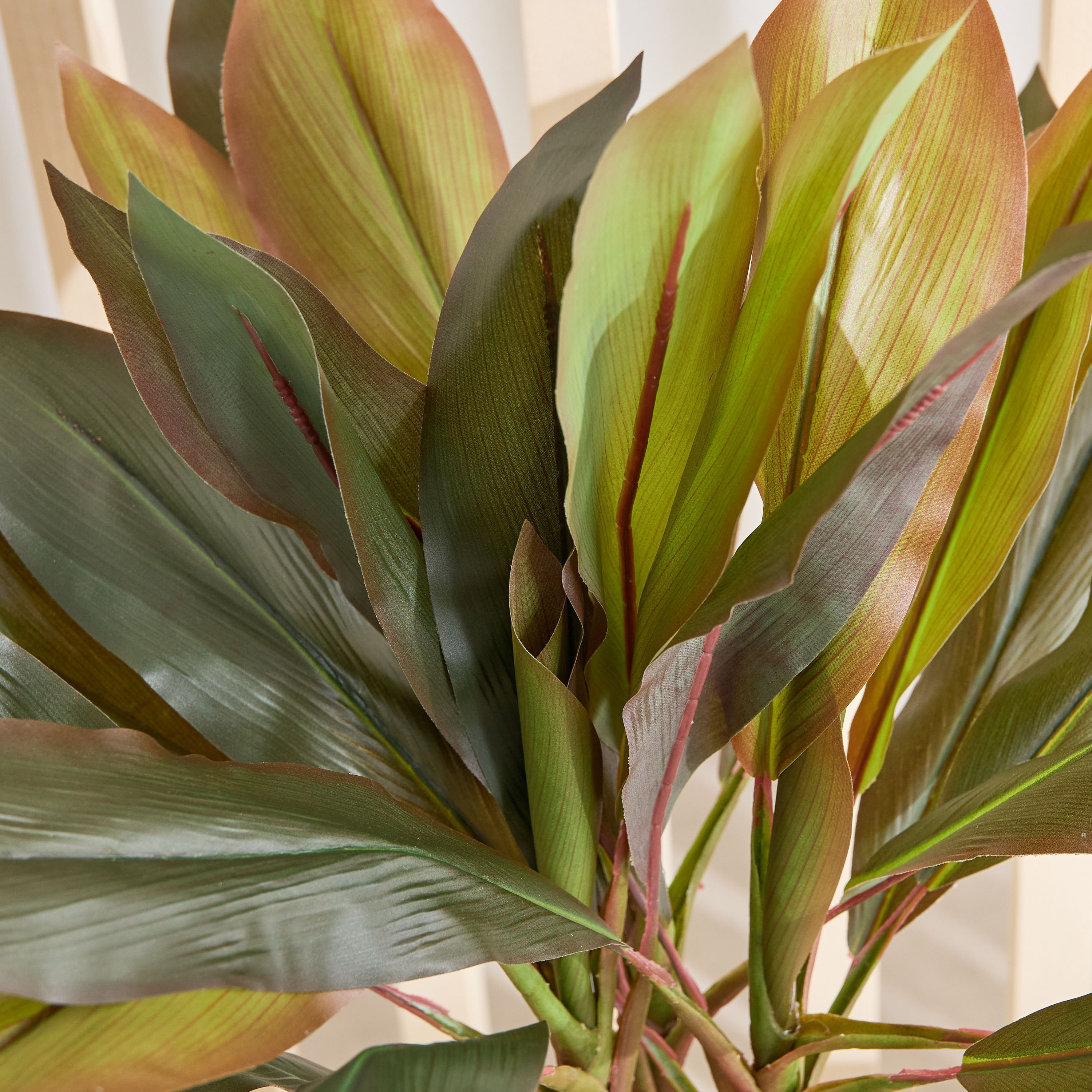 Triton Realtouch Artificial Cordyline Fruticosa Plant with Pot - 45x45x58 cm-PROMO_HB_AE_B1G1_250925-image-2