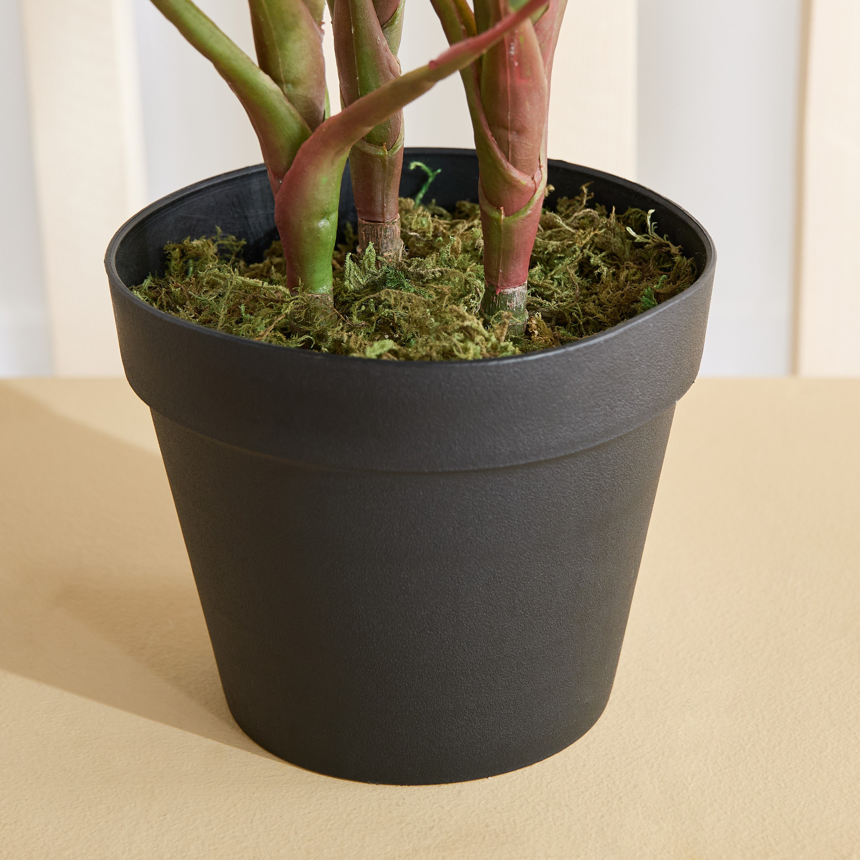 Triton Realtouch Artificial Cordyline Fruticosa Plant with Pot - 45x45x58 cm-PROMO_HB_AE_B1G1_250925-image-3