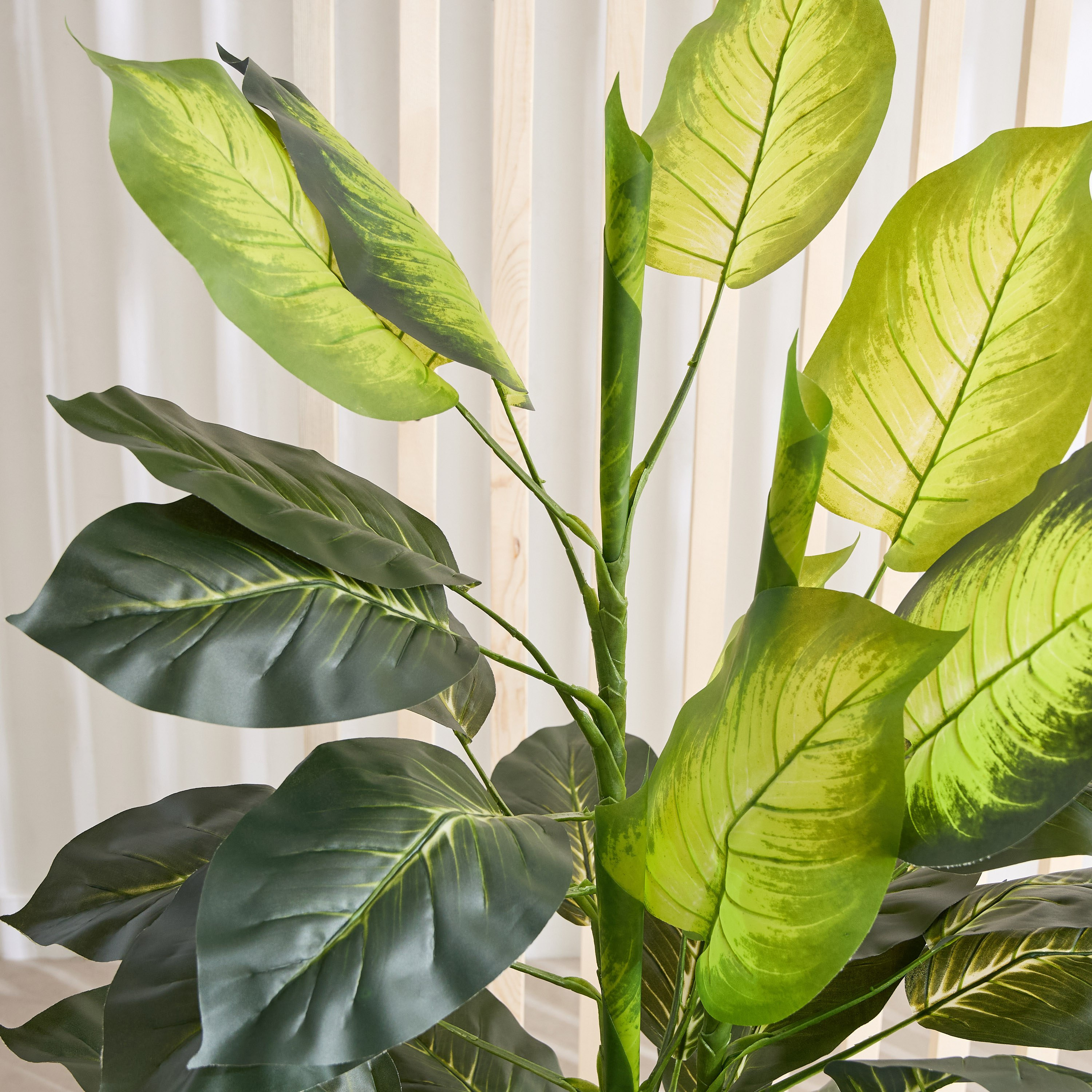Triton Realtouch Artificial Dieffenbachia Tree with Pot - 50x40x135 cm-hbxdecorandfurnishings-homeaccessories-artificialflowersandplants-image-2