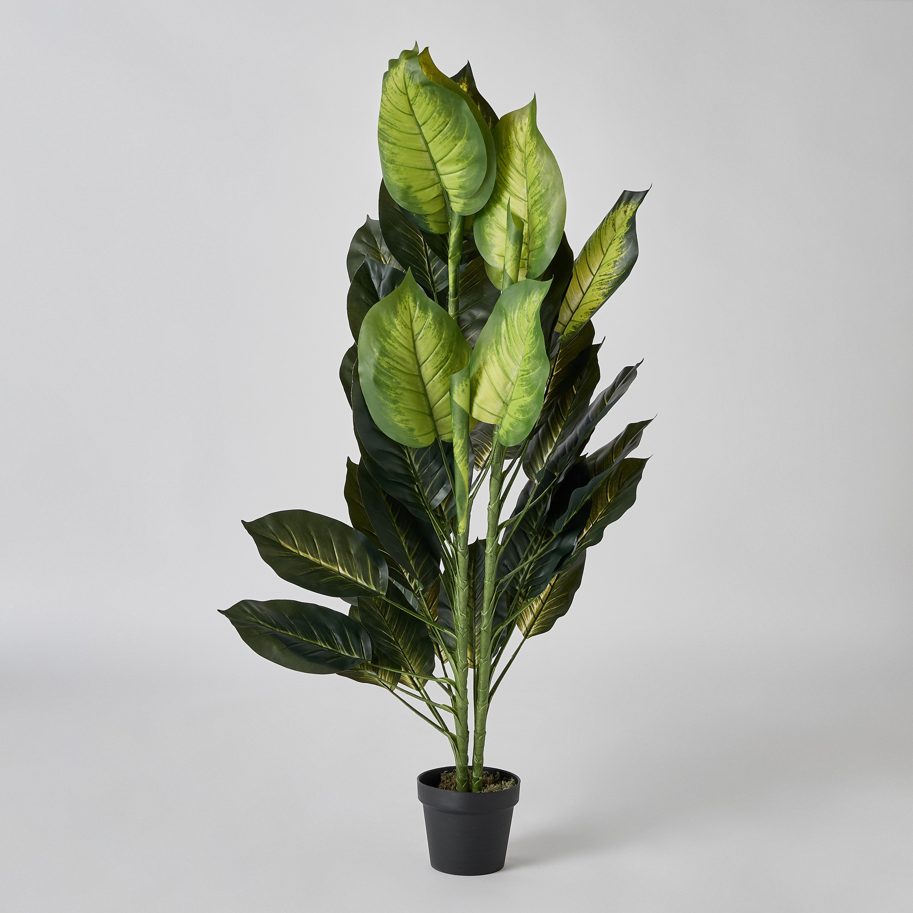 Triton Realtouch Artificial Dieffenbachia Tree with Pot - 50x40x135 cm-hbxdecorandfurnishings-homeaccessories-artificialflowersandplants-image-5