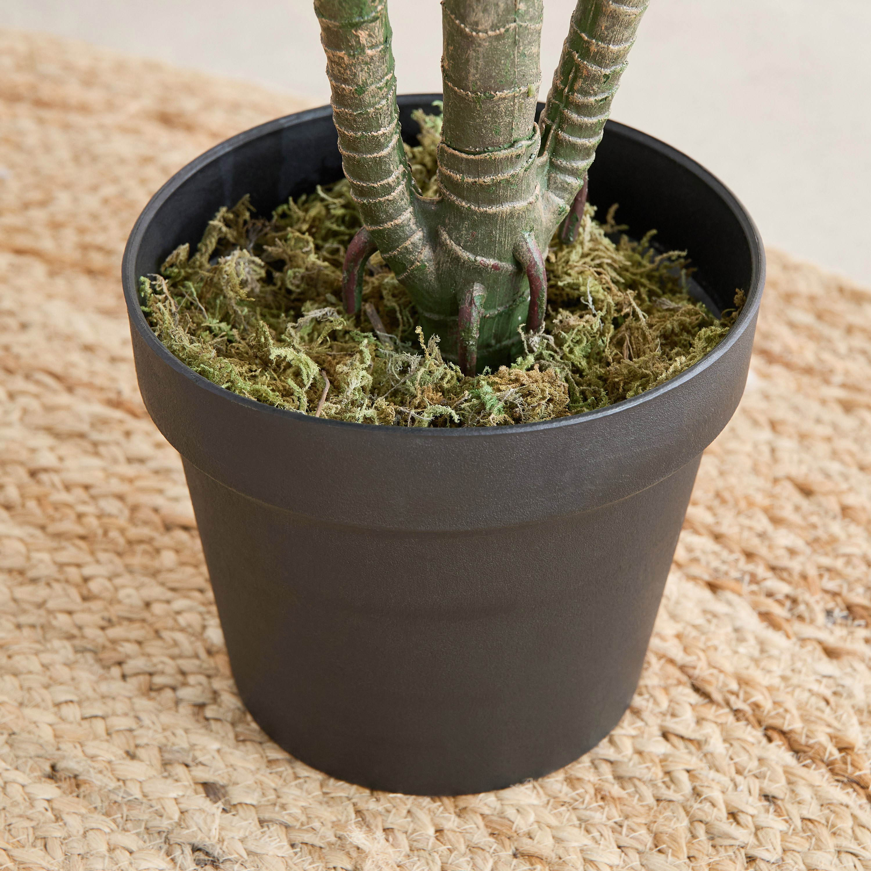 شجرة أوروم صناعية من تريتون - 50×40×120 سم-hbxdecorandfurnishings-homeaccessories-artificialflowersandplants-image-3