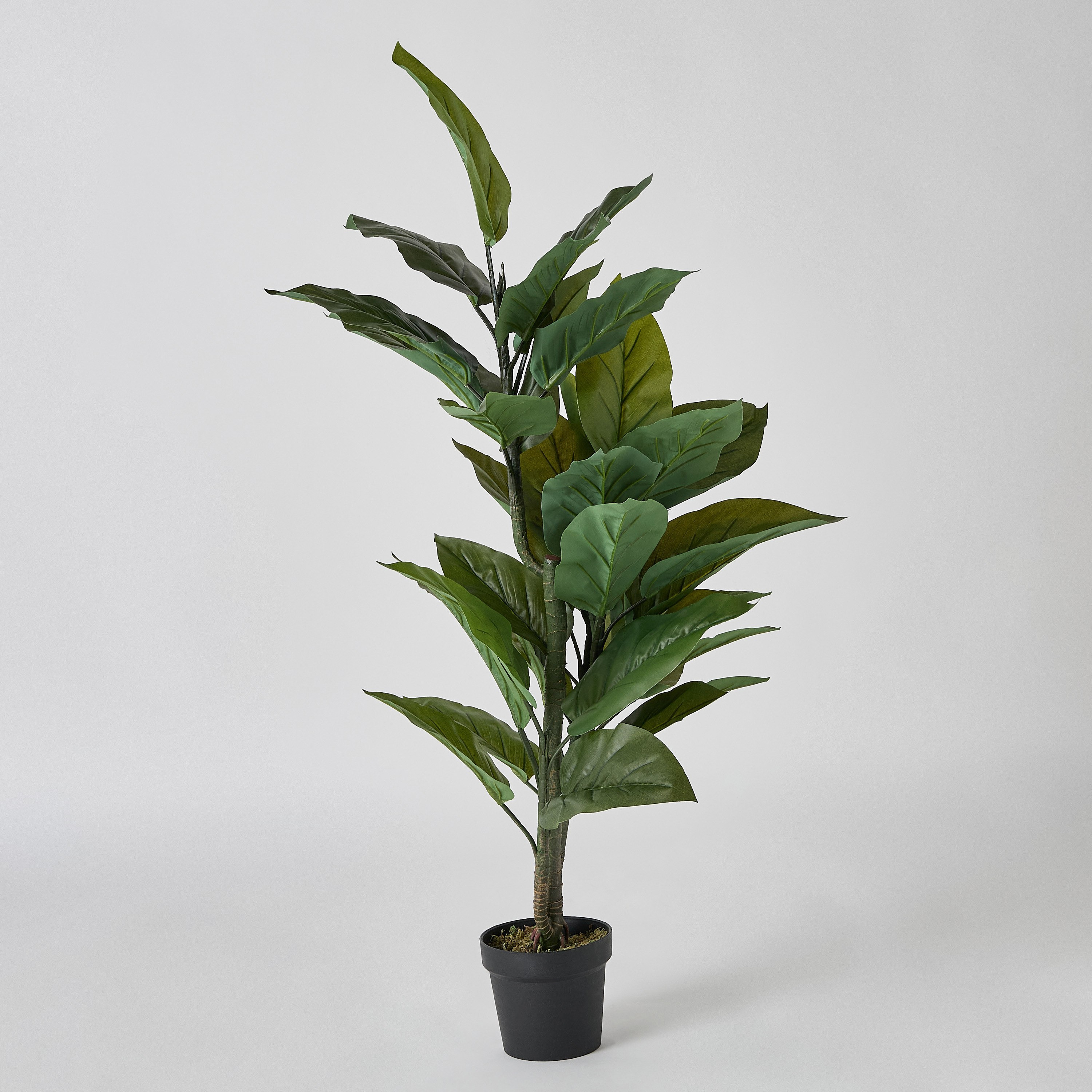 شجرة أوروم صناعية من تريتون - 50×40×120 سم-hbxdecorandfurnishings-homeaccessories-artificialflowersandplants-image-5