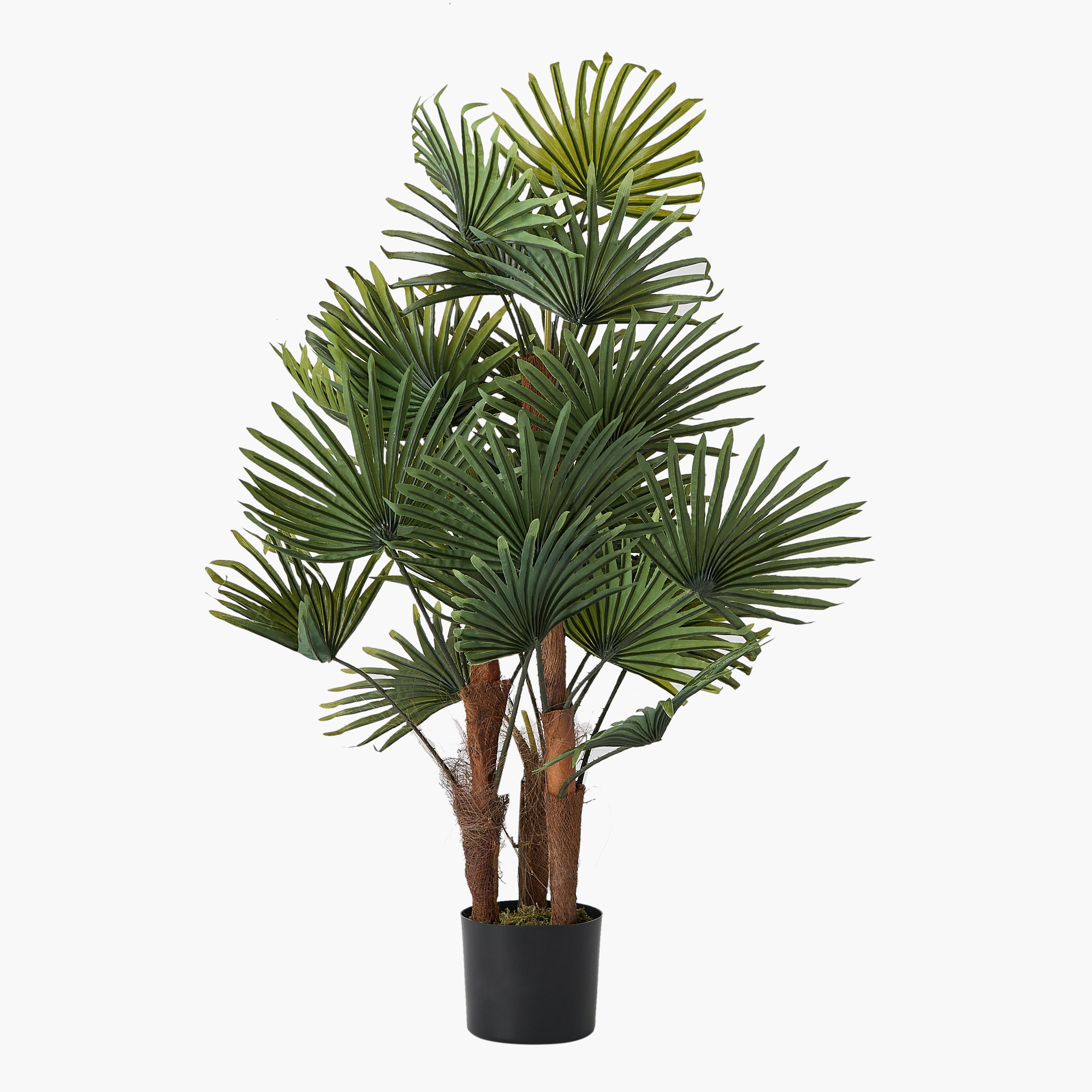 شجرة نخيل من تريتون - 55x50x115 سم-hbxdecorandfurnishings-homeaccessories-artificialflowersandplants-image-5