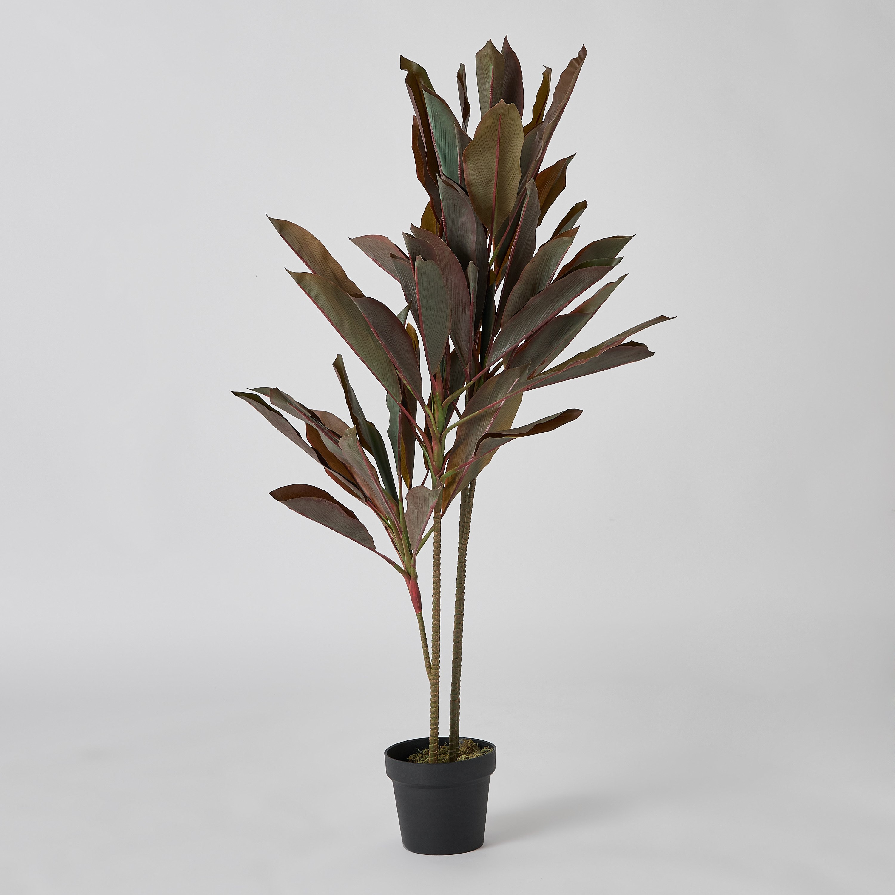 شجرة كورديلين فروتيكوسا  ريل تاتش من تريتون  50×45×110 سم-hbxdecorandfurnishings-homeaccessories-artificialflowersandplants-image-5