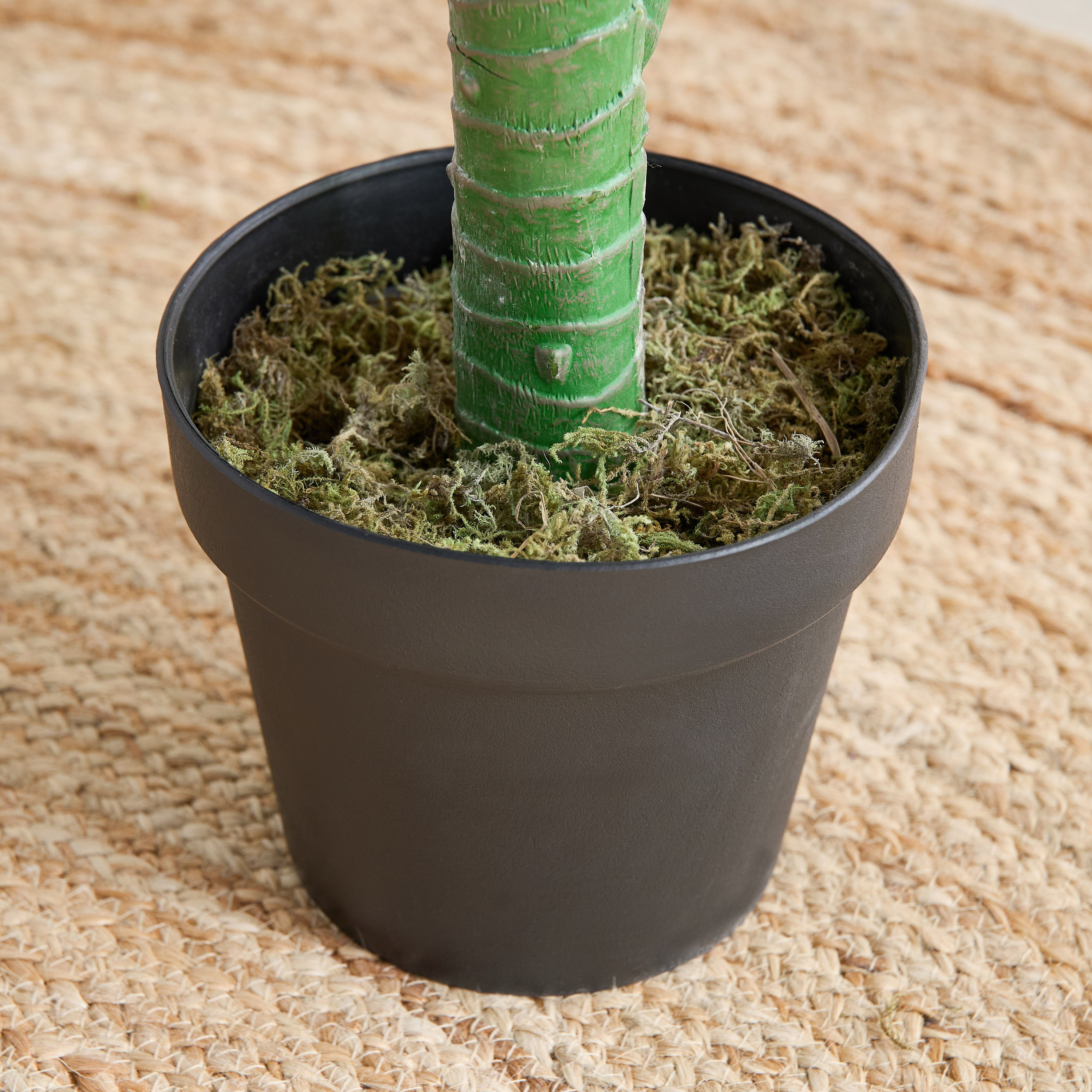 شجرة الحب الصناعية من تريتون - 50×45×150 سم-hbxdecorandfurnishings-homeaccessories-artificialflowersandplants-image-3