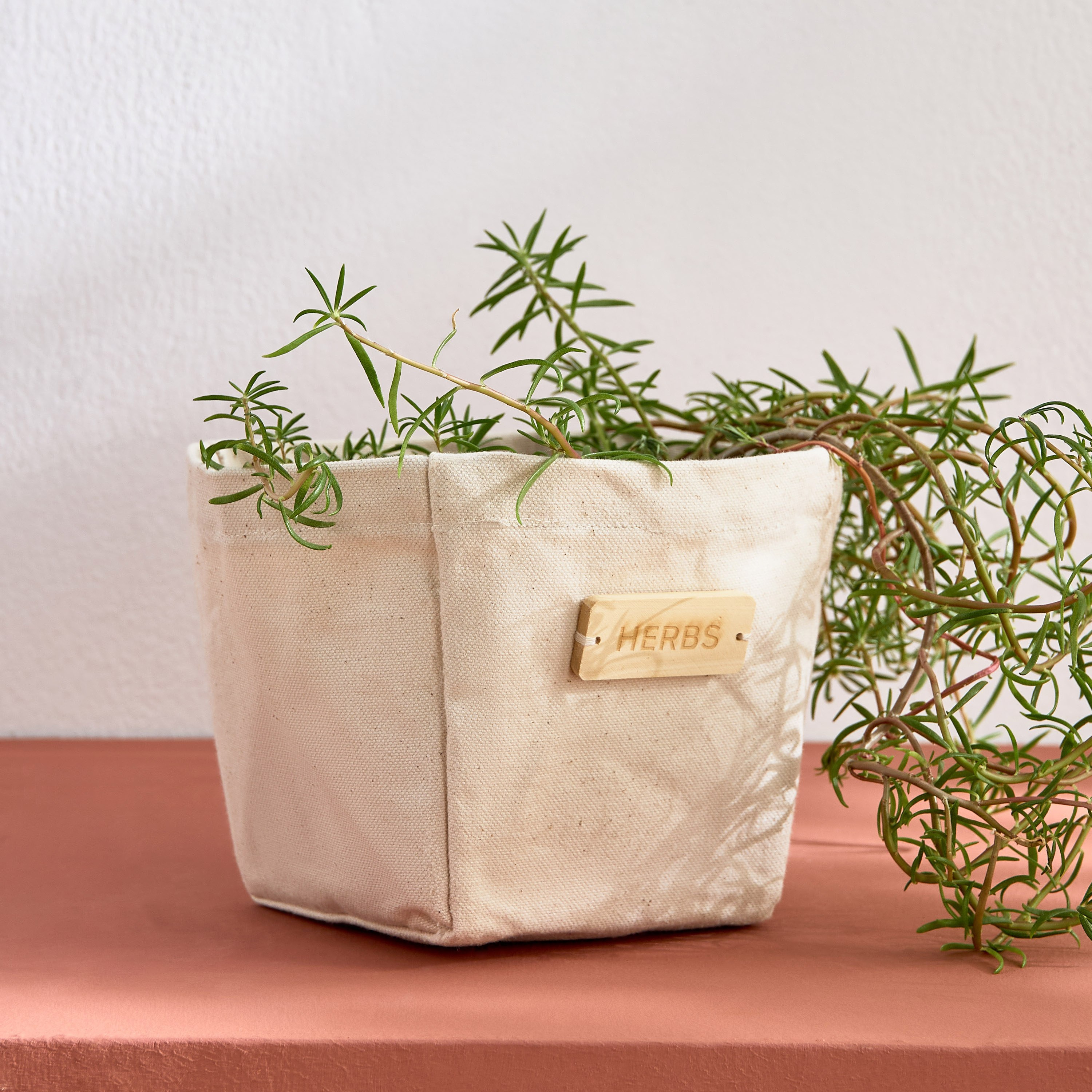 Bella Canvas Stitch Planter with Wooden Label - 14x14x15 cm-PROMO_HB_AE_B1G1_250925-image-5