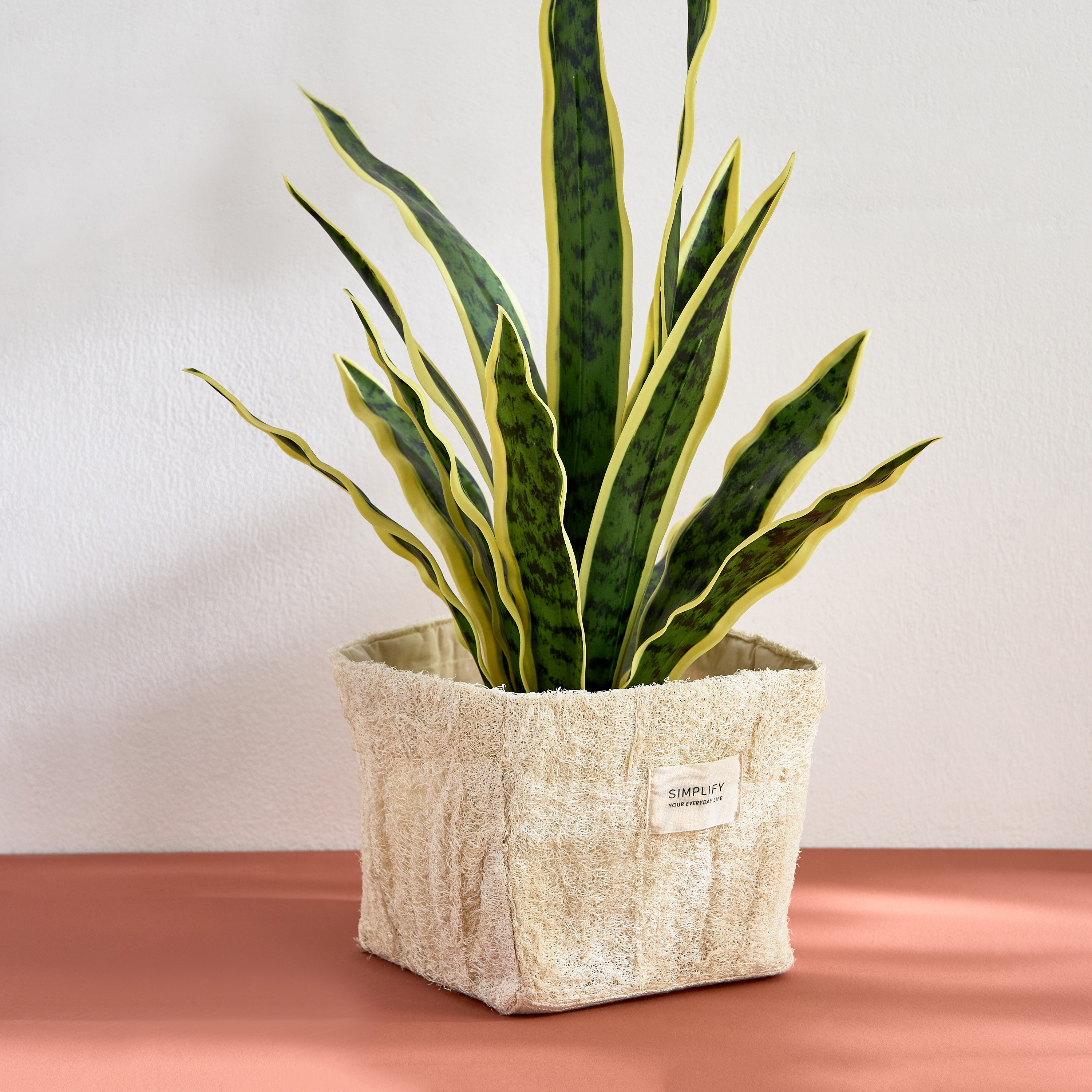 Bella Luffa Box Planter with Wooden Tag - 14x14x11 cm-PROMO_HB_AE_B1G1_250925-image-5