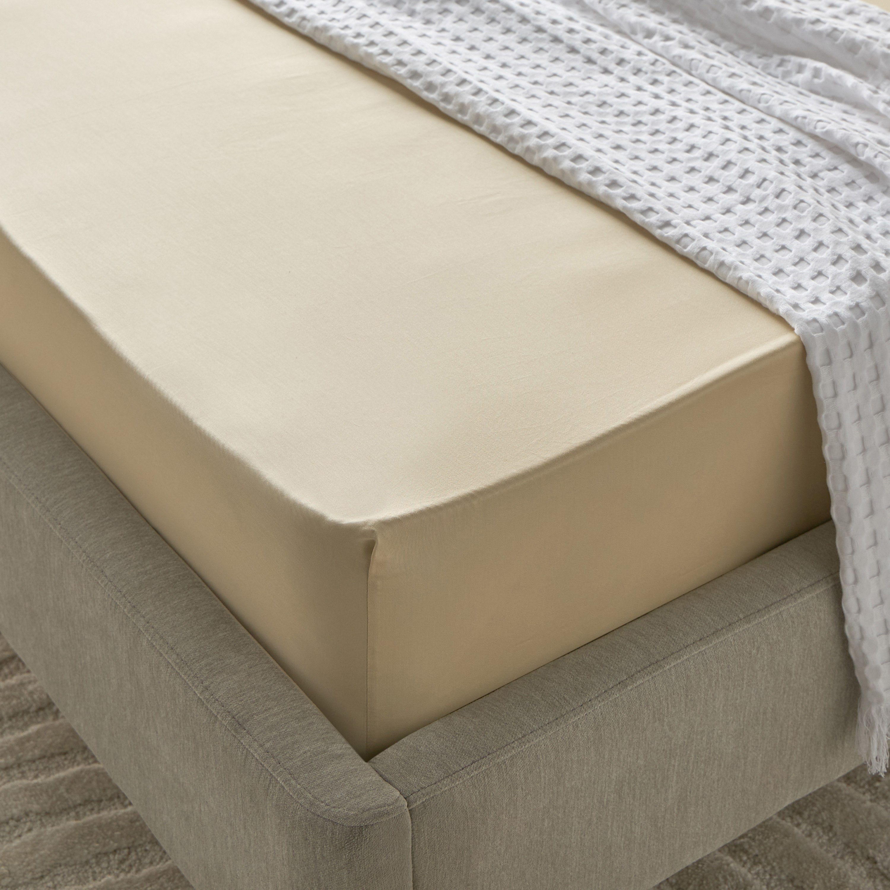 Houston Daisley Cotton Twin Fitted Sheet - 120x200+33 cm-hbxhomeware-hbxbedroom-image-1