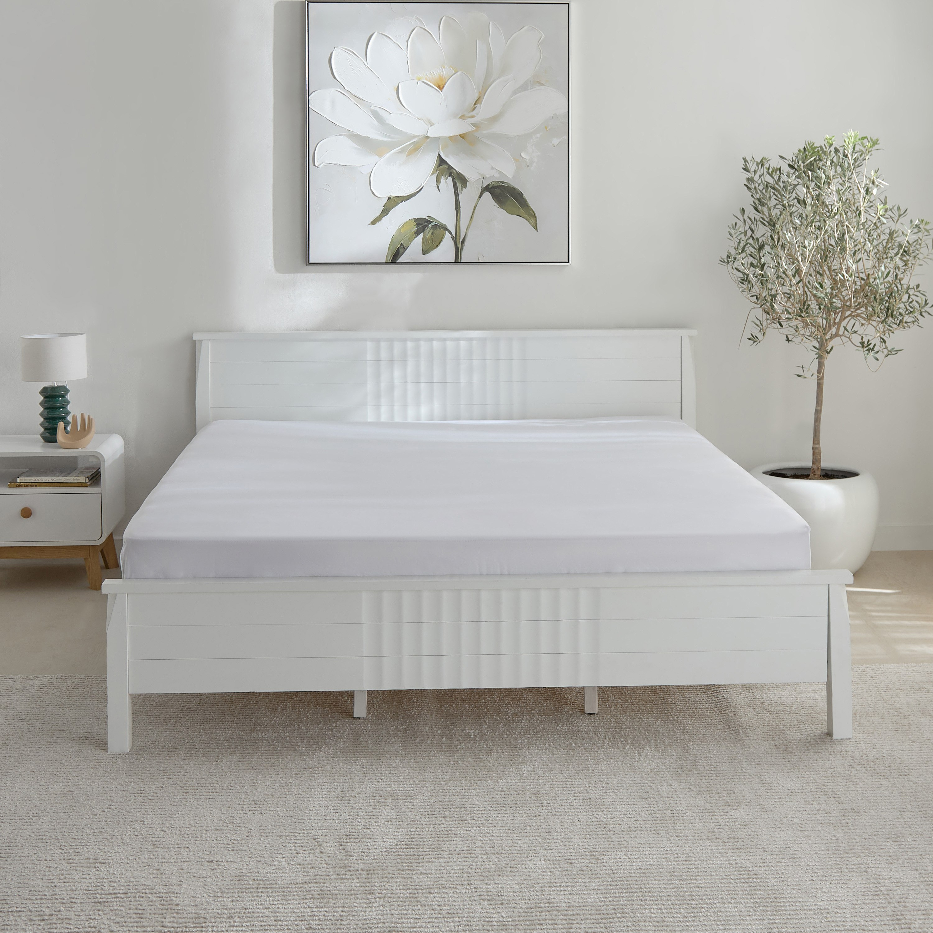 Opulent Luxe Solid Cotton Olympic Queen Fitted Sheet - 160x200+40 cm-hbxhomeware-bedding-fittedsheets-image-2