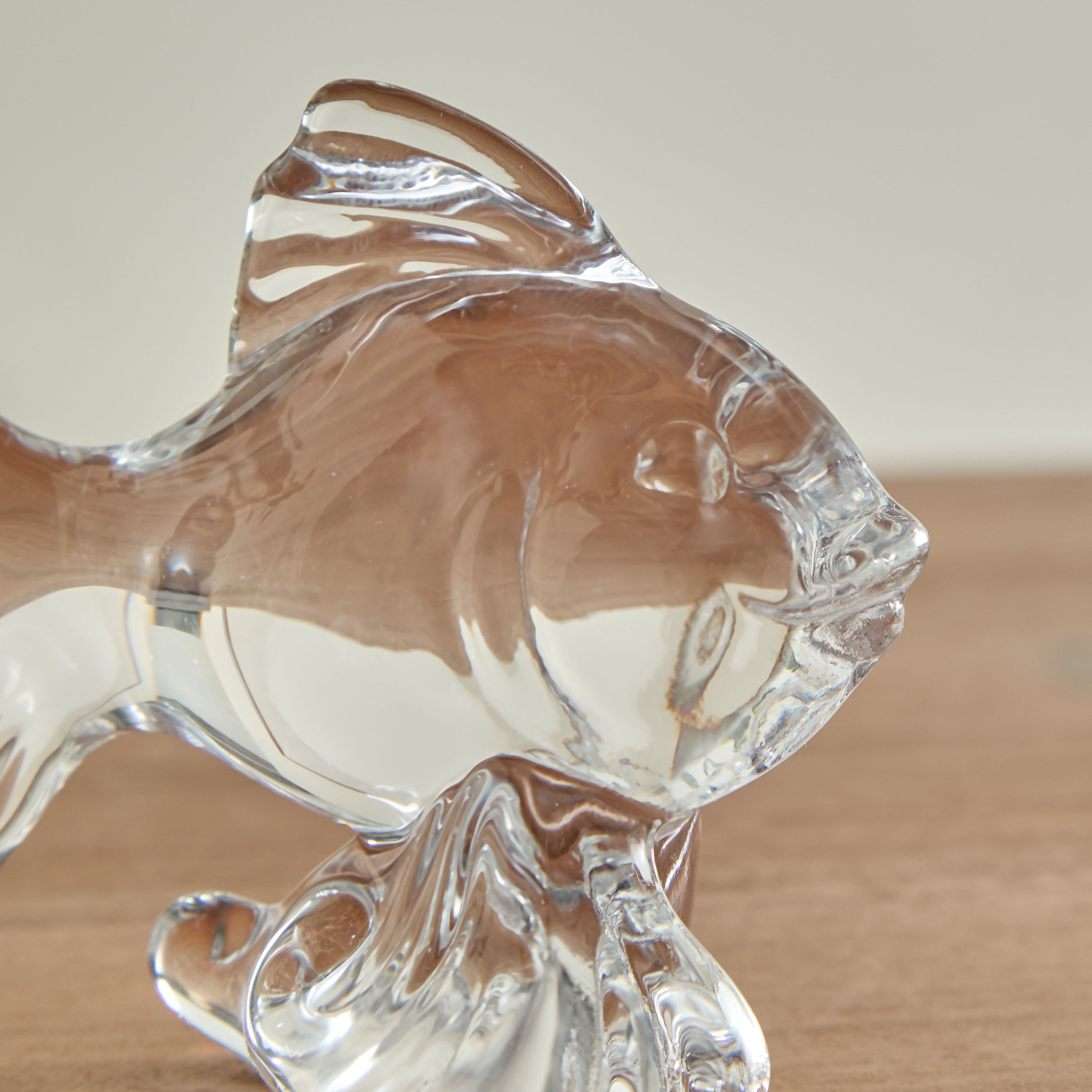 Vega Glass Fish Accent - 11x5x8 cm-hbxhomeware-homedecor-figurinesandornaments-image-3