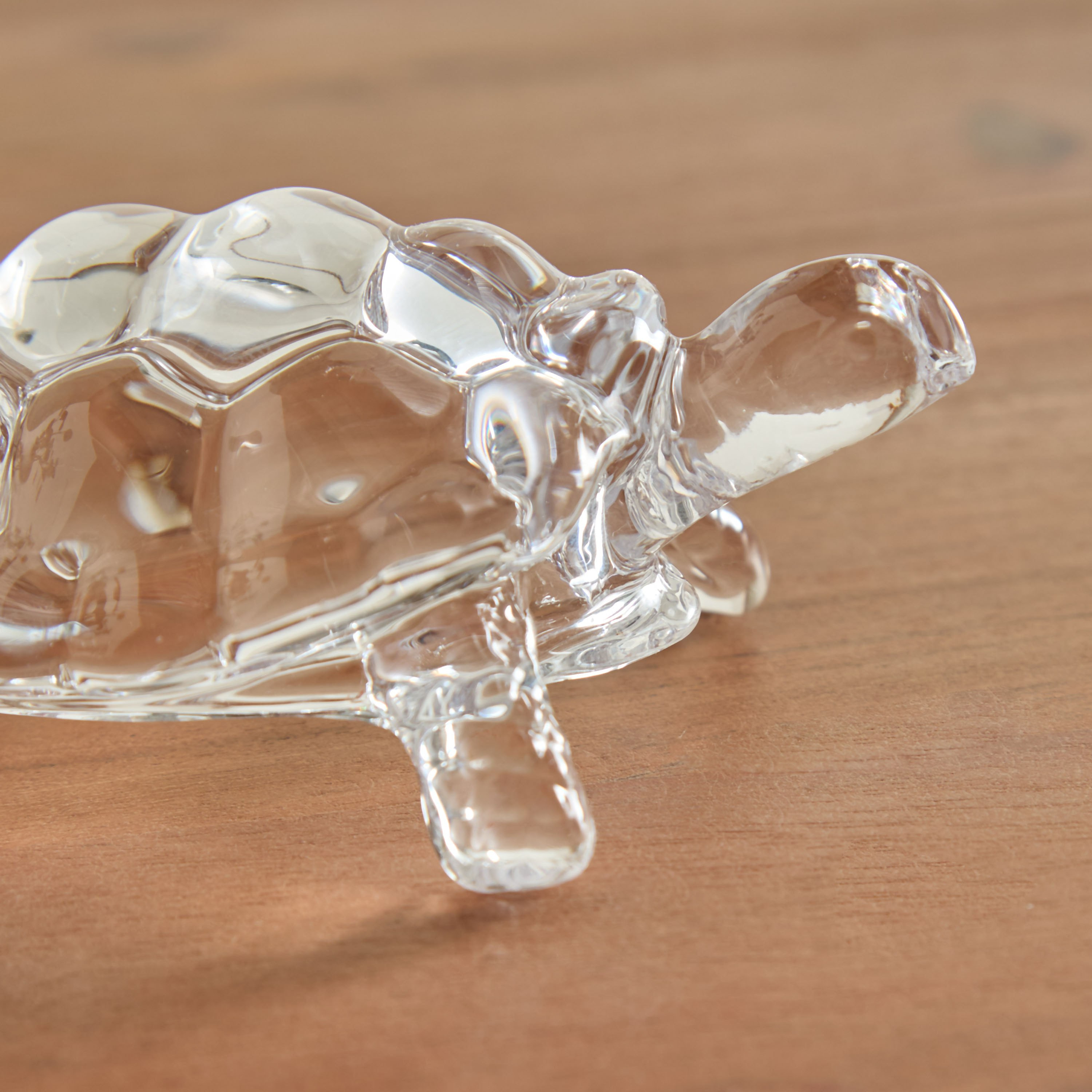 Vega Glass Tortoise Accent - 11x7.8x4.8 cm-hbxhomeware-homedecor-figurinesandornaments-image-3