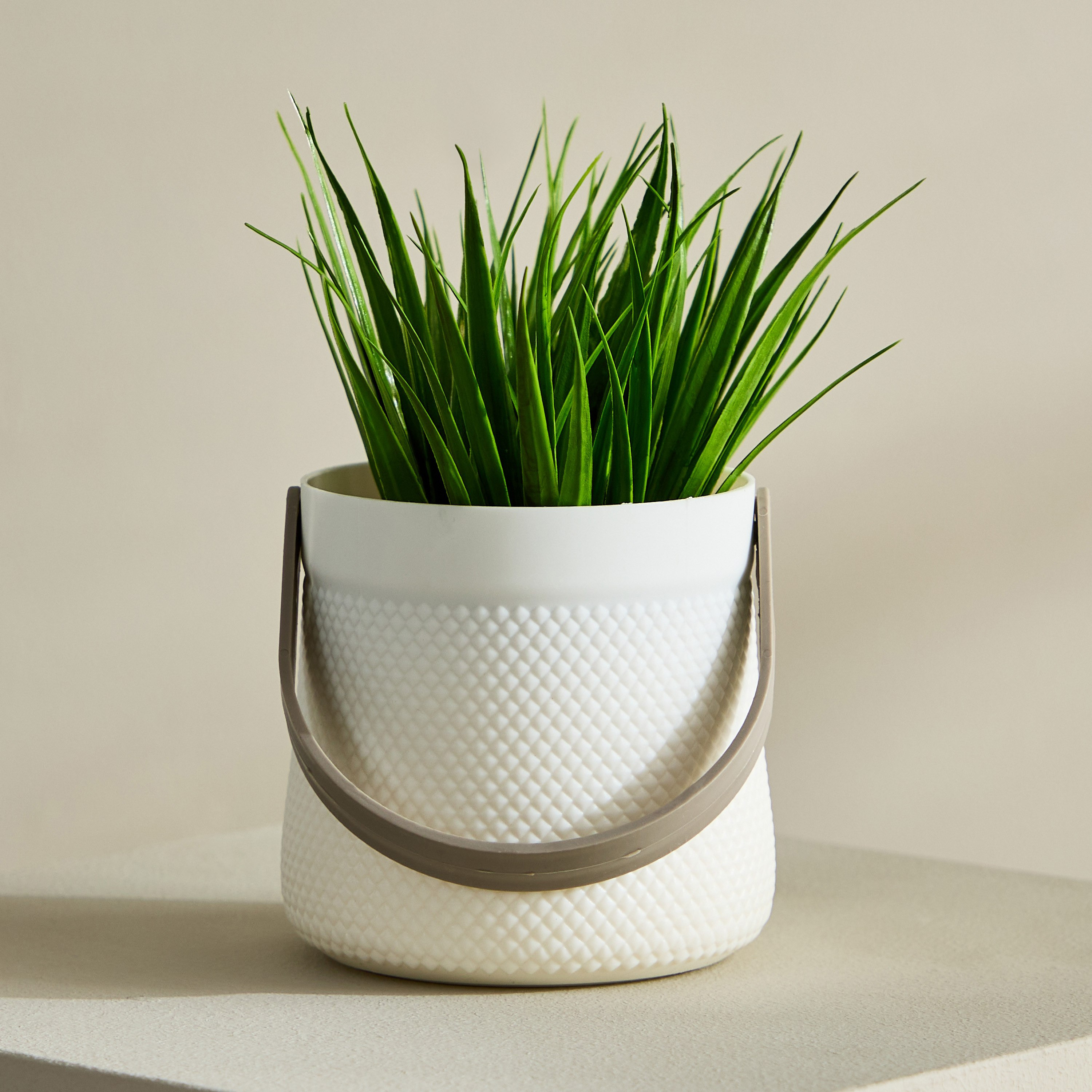 Taria Potted Plant with Handle - 11x11x18 cm-PROMO_QA_HB_B1G1_WWS_271025-image-2