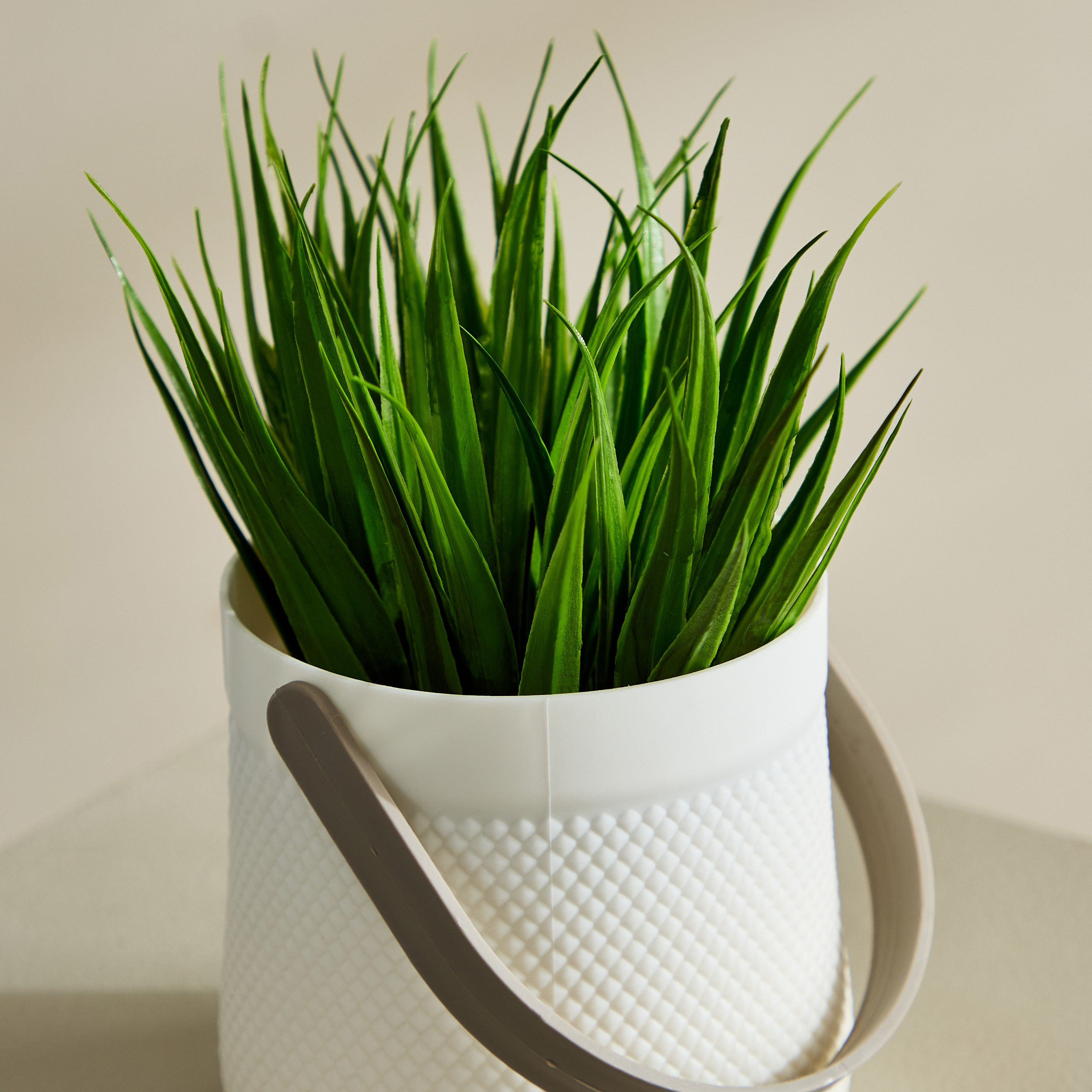 Taria Potted Plant with Handle - 11x11x18 cm-PROMO_QA_HB_B1G1_WWS_271025-image-3