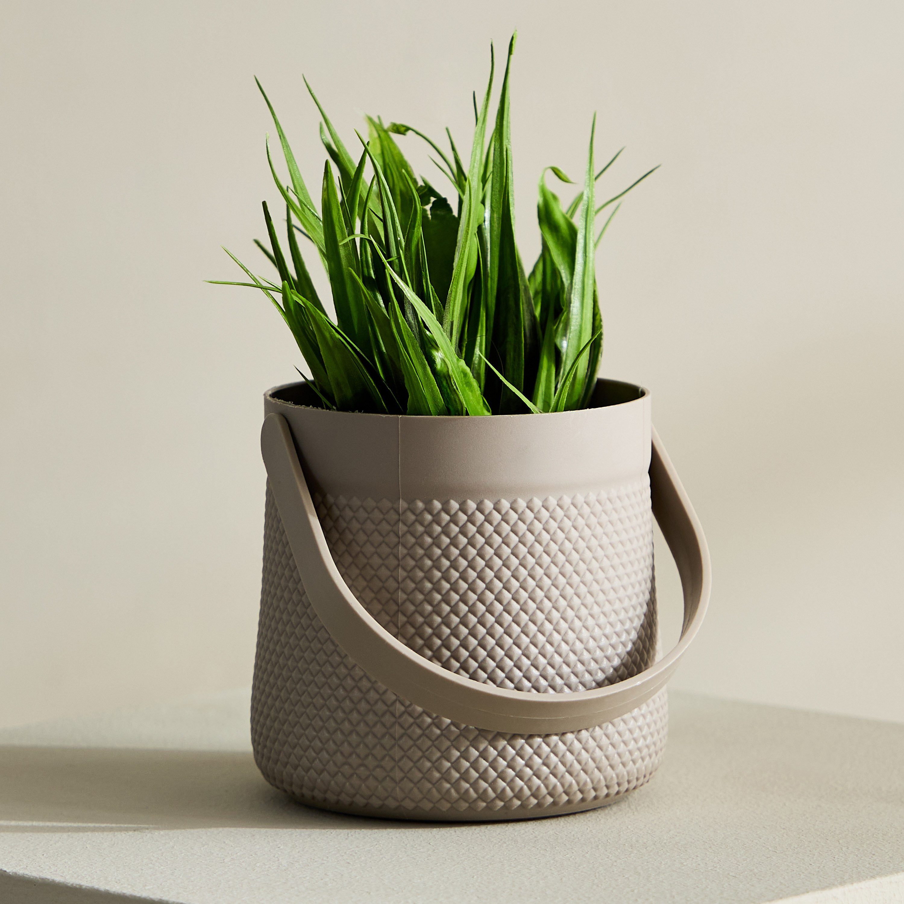 Taria Potted Plant with Handle - 11x11x18 cm-hbxhomeware-hbxdecorandfurnishings-image-1