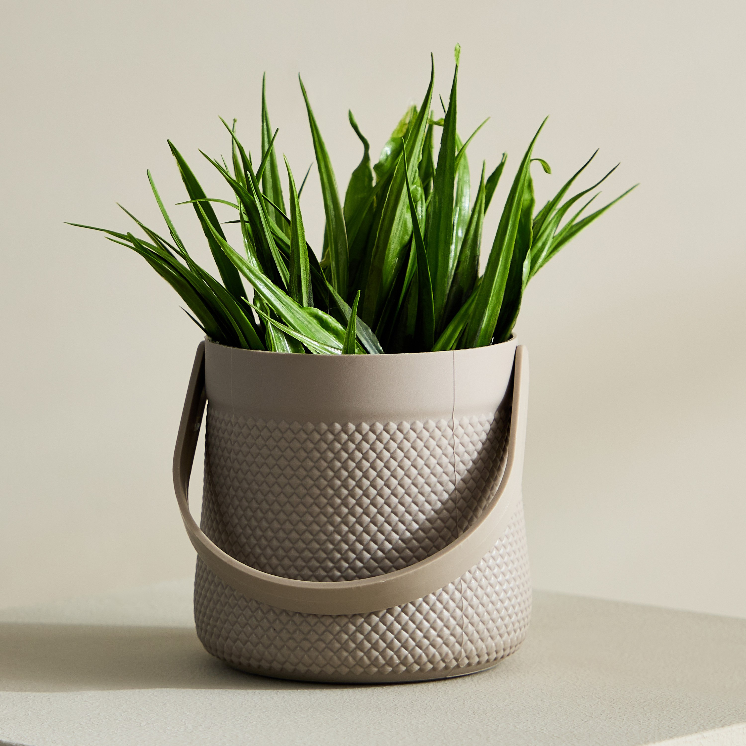 Taria Potted Plant with Handle - 11x11x18 cm-hbxhomeware-hbxdecorandfurnishings-image-2