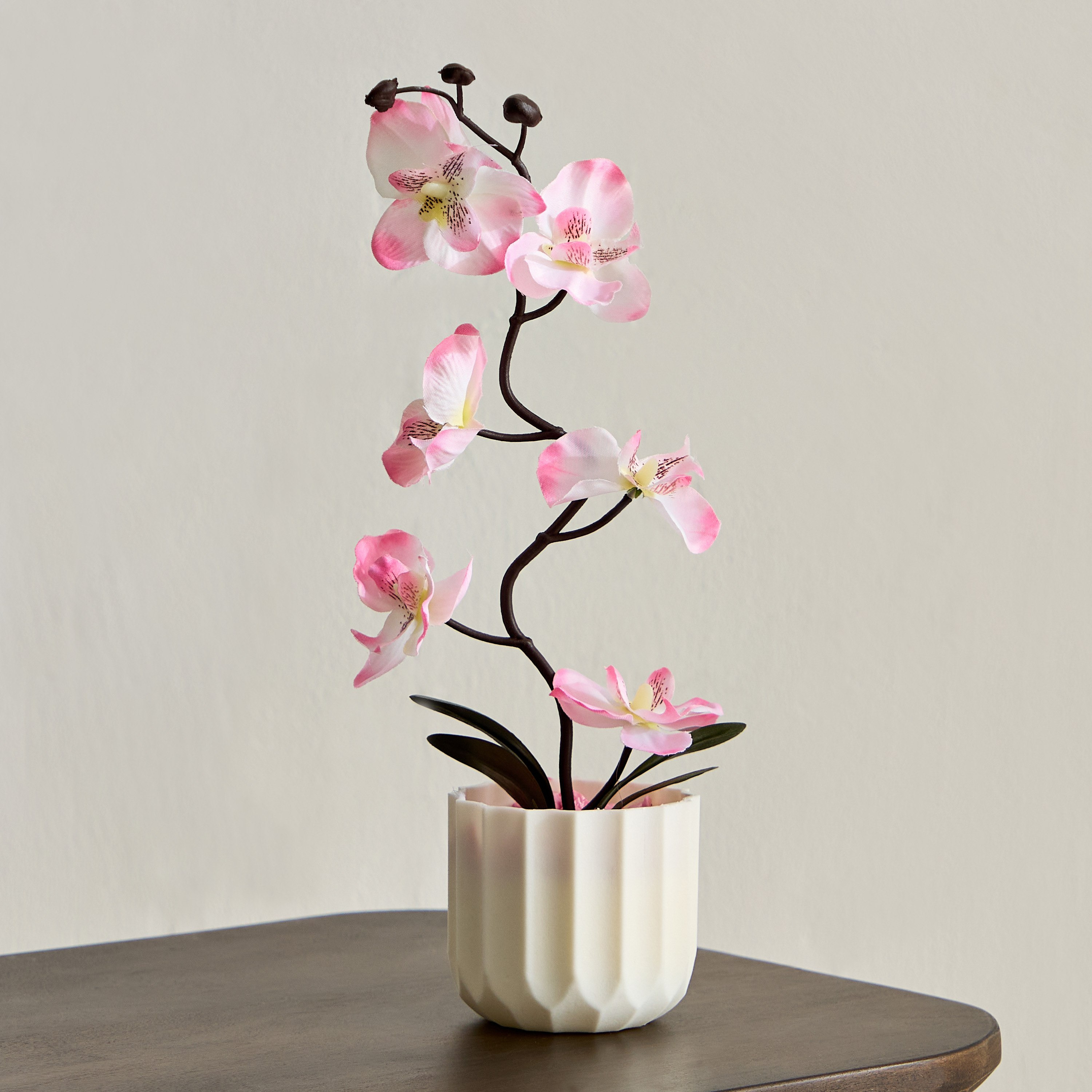 نبات في إناء زرع من تاريا - 11x11x25 سم-hbxhomeware-hbxdecorandfurnishings-image-1