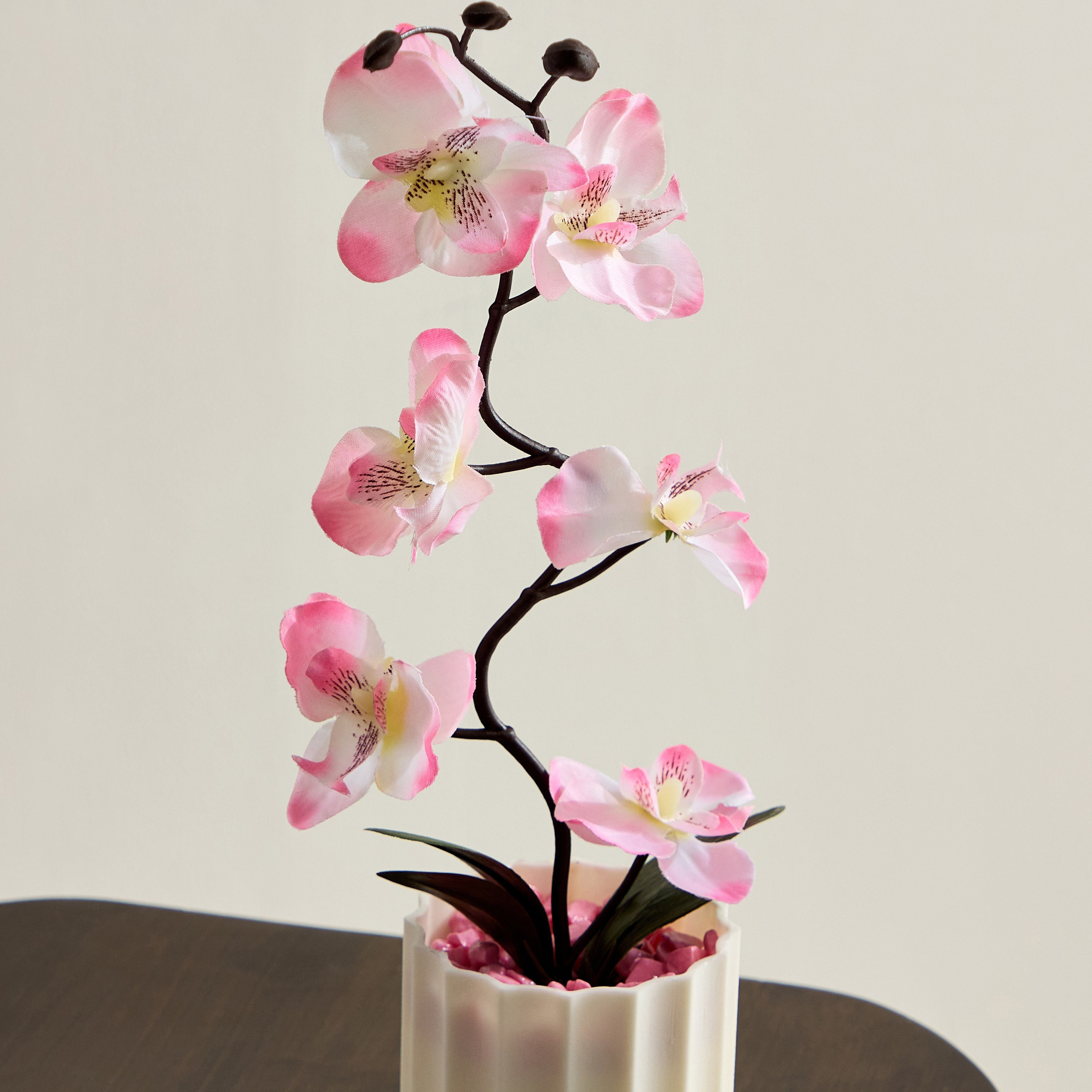 نبات في إناء زرع من تاريا - 11x11x25 سم-hbxhomeware-hbxdecorandfurnishings-image-2