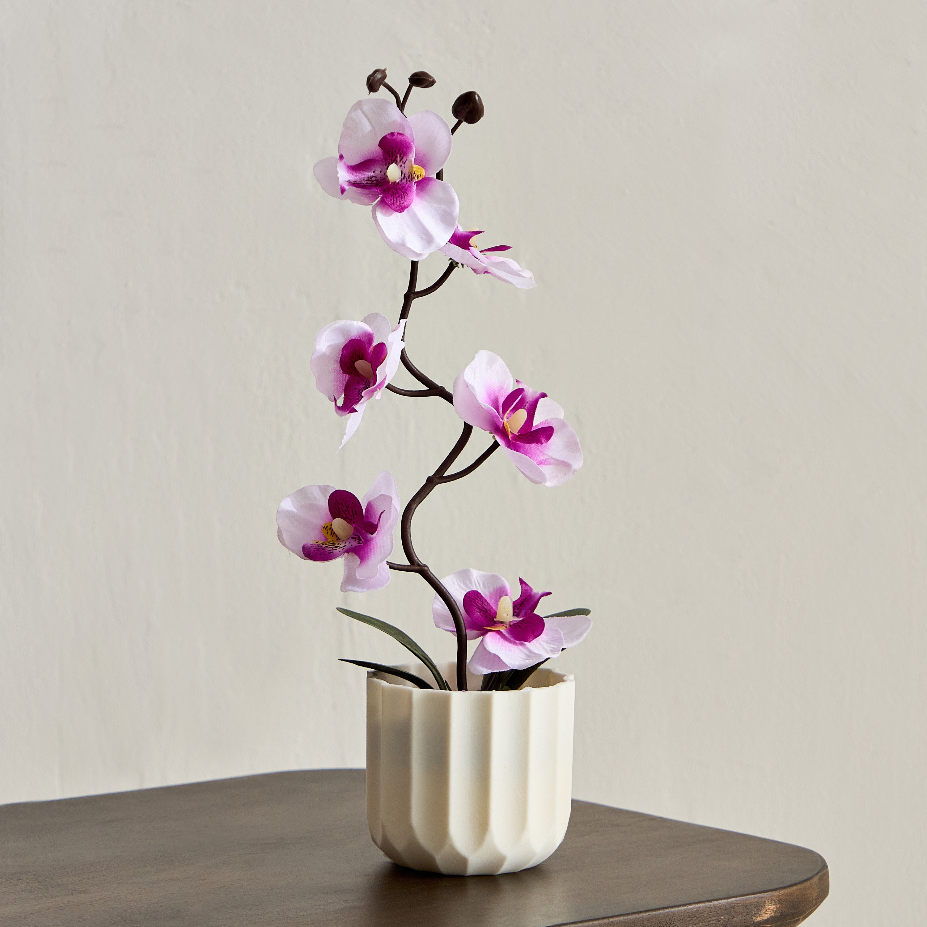 نبات في إناء زرع من تاريا - 11x11x25 سم-hbxhomeware-hbxdecorandfurnishings-image-1