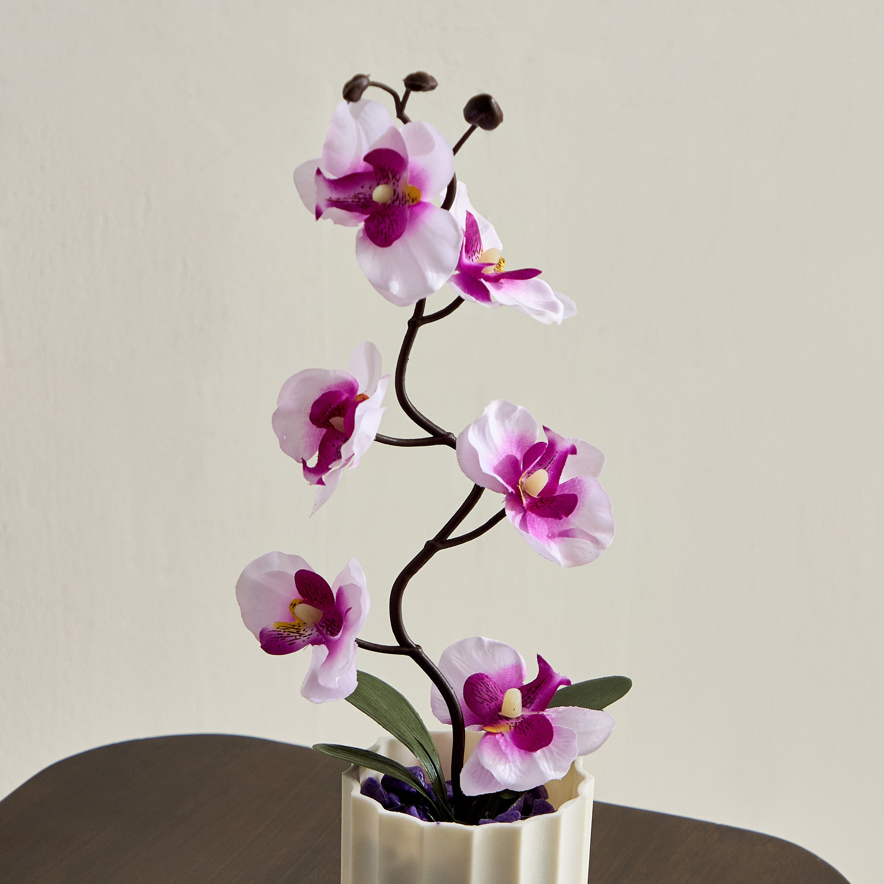 نبات في إناء زرع من تاريا - 11x11x25 سم-hbxhomeware-hbxdecorandfurnishings-image-2