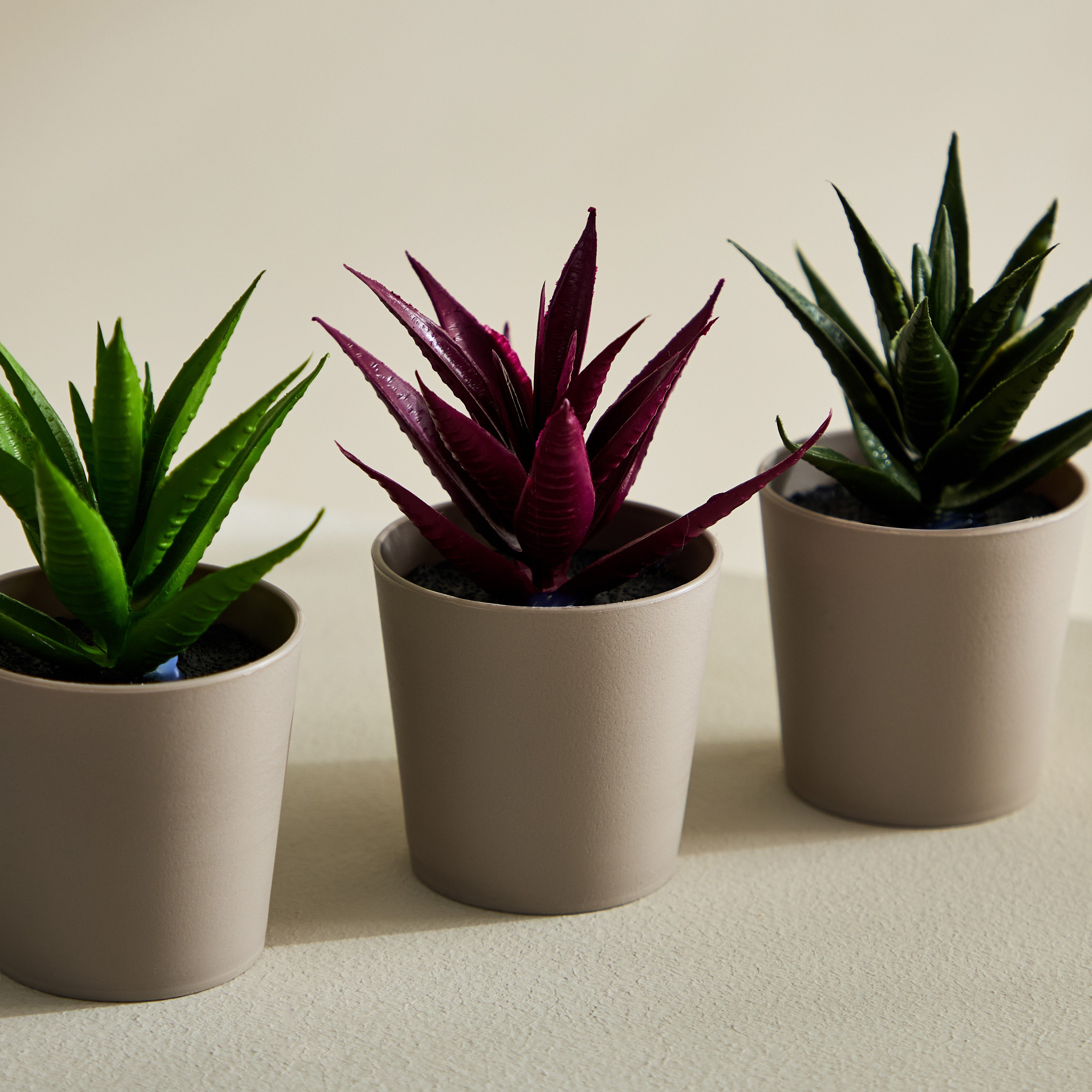 مجموعة هدايا نبات صبار 3 قطع من تاريا - 19x7x13.5 سم-PROMO_HB_AE_B1G1_250925-image-2