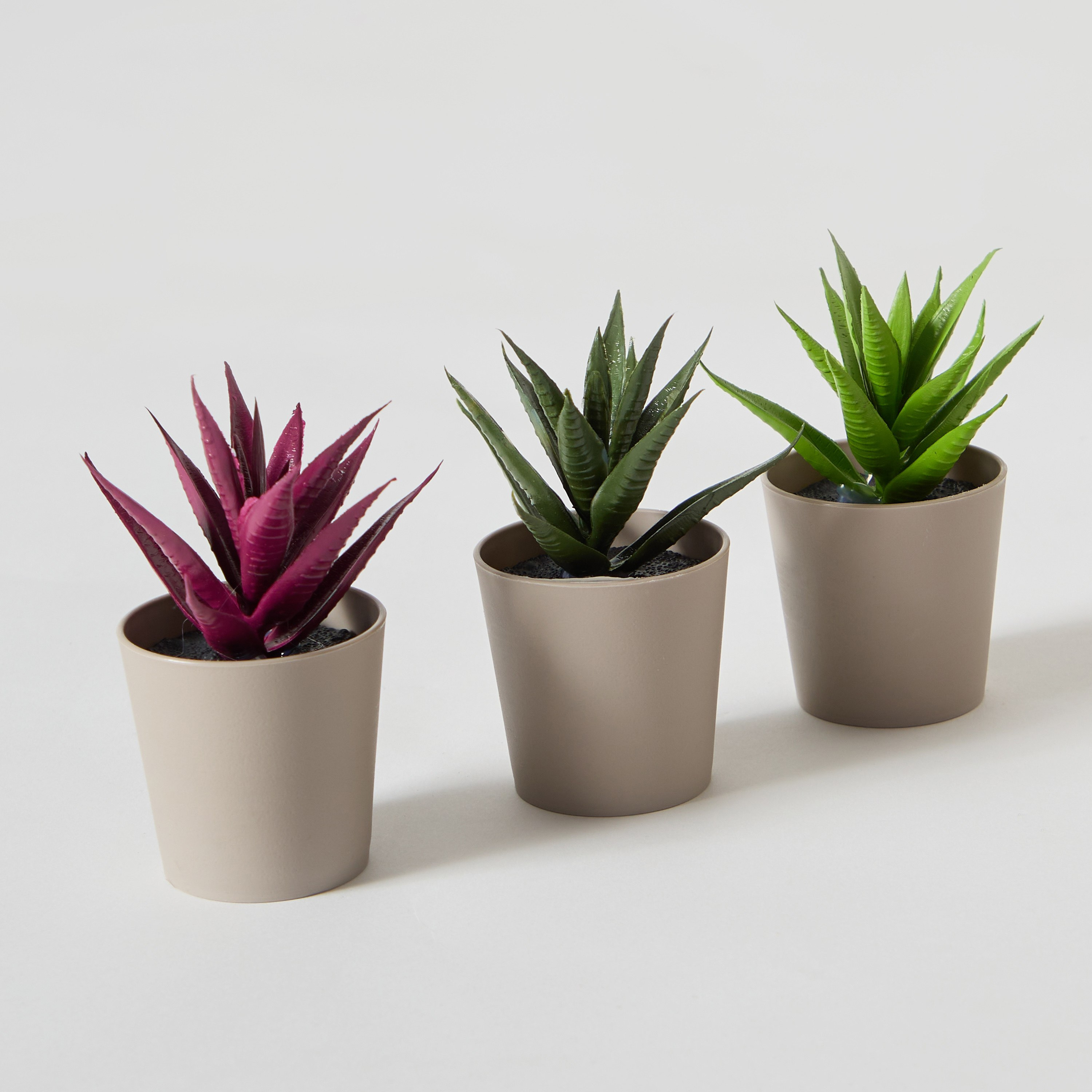 مجموعة هدايا نبات صبار 3 قطع من تاريا - 19x7x13.5 سم-PROMO_HB_AE_B1G1_250925-image-4