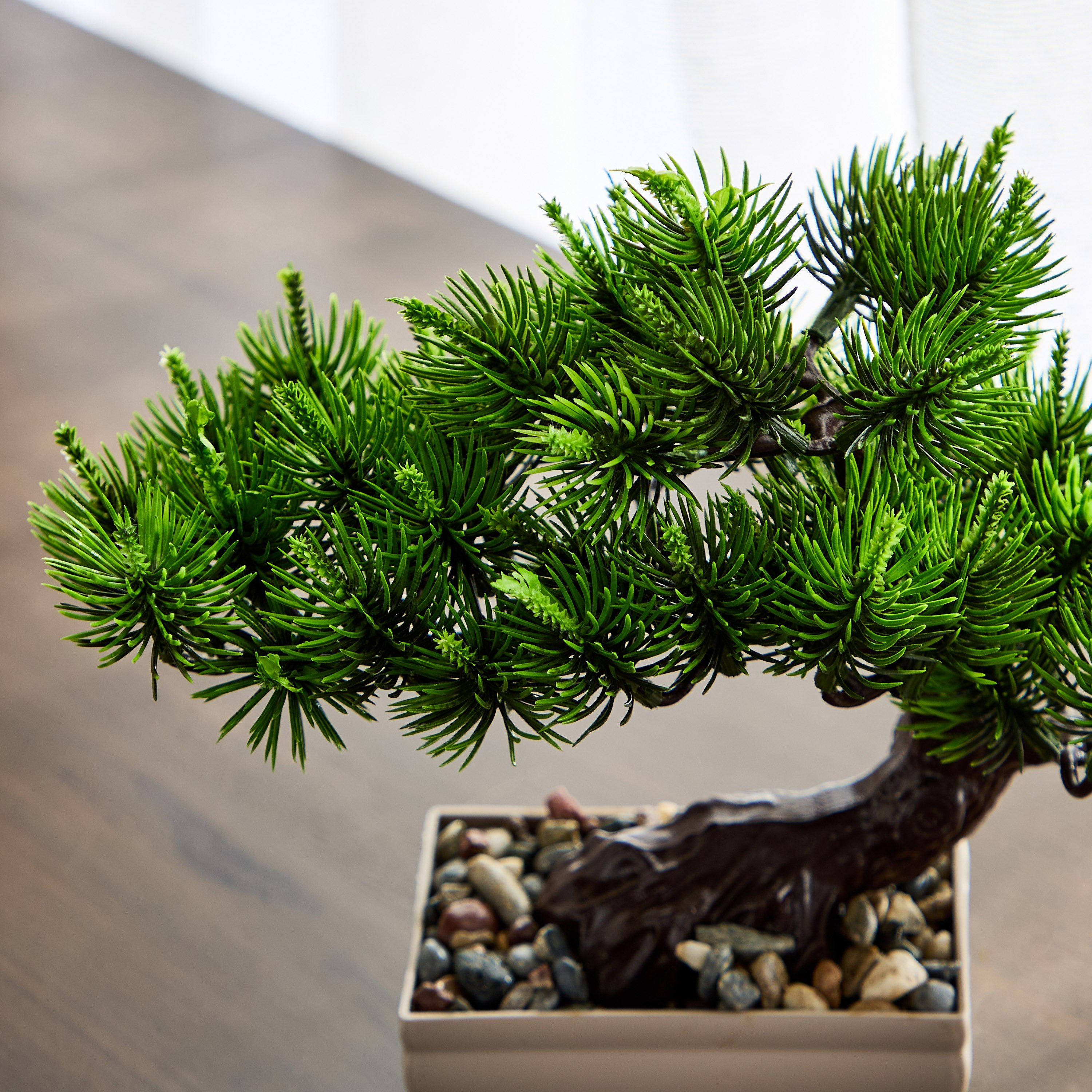 Taria Potted Plant Tree - 25x20x20 cm-PROMO_HB_AE_B1G1_250925-image-2