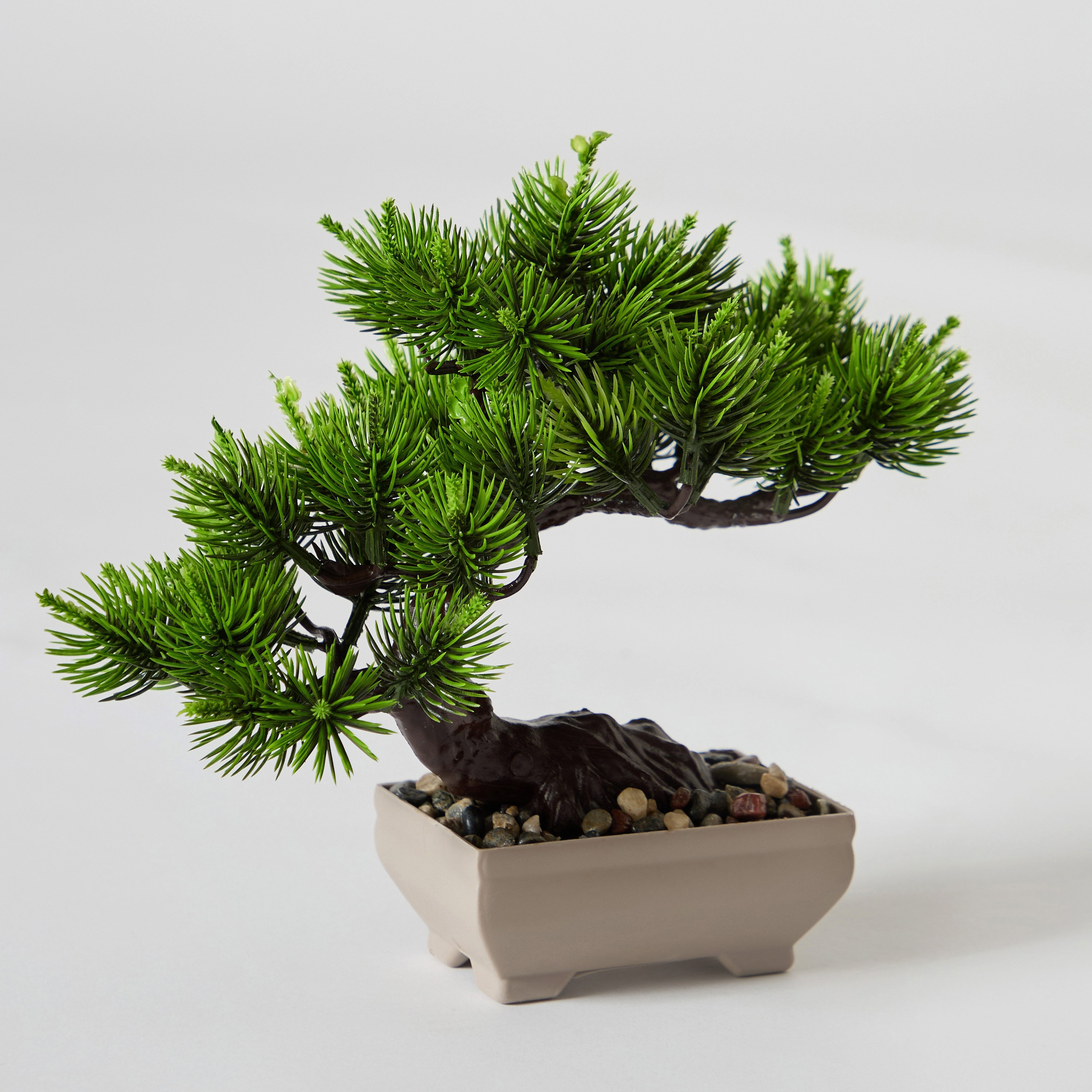 Taria Potted Plant Tree - 25x20x20 cm-PROMO_HB_AE_B1G1_250925-image-4