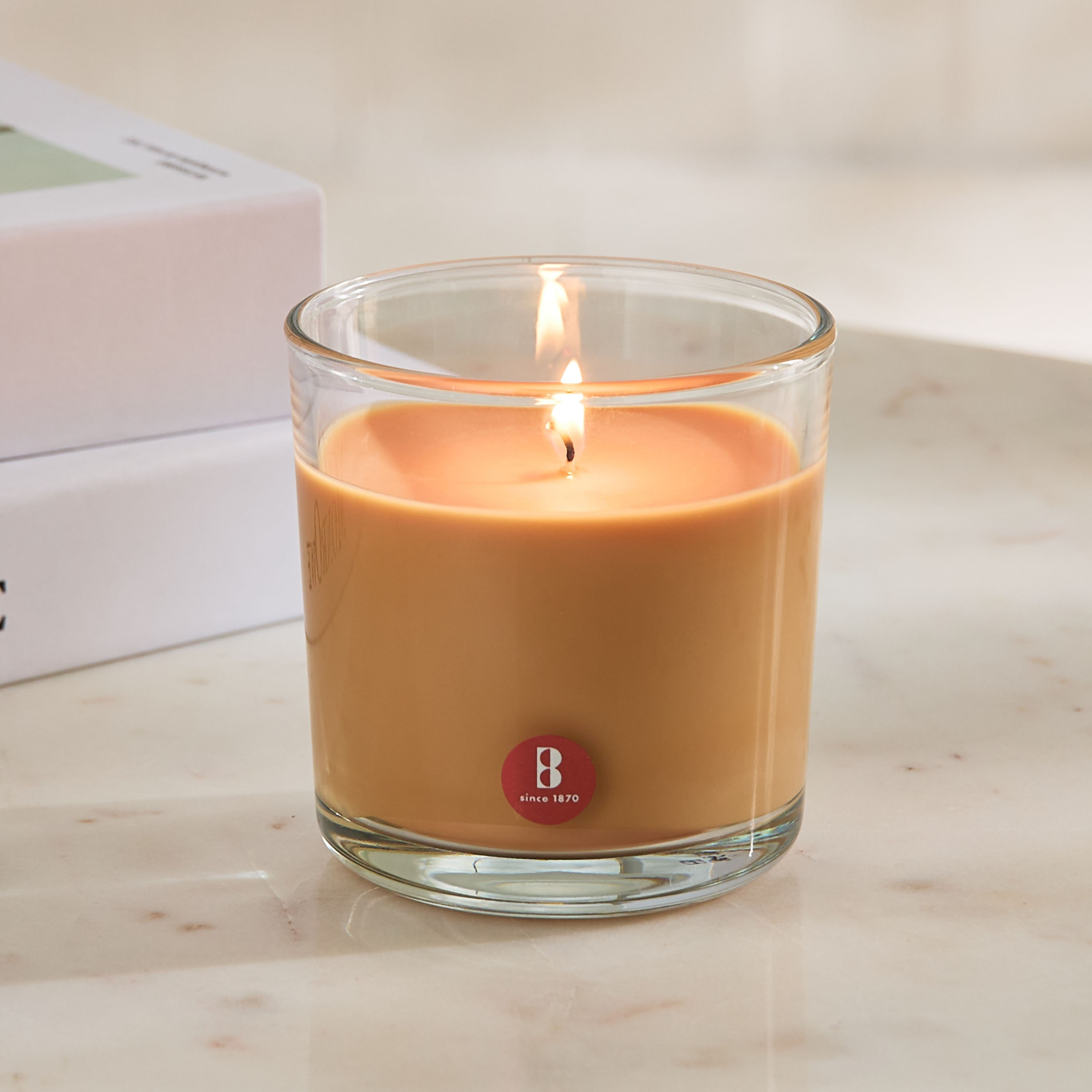 Bolsius Apple Cinnamon Scented Candle in a Glass - 679 gm-PROMO_HB_AE_B1G1_250925-image-2