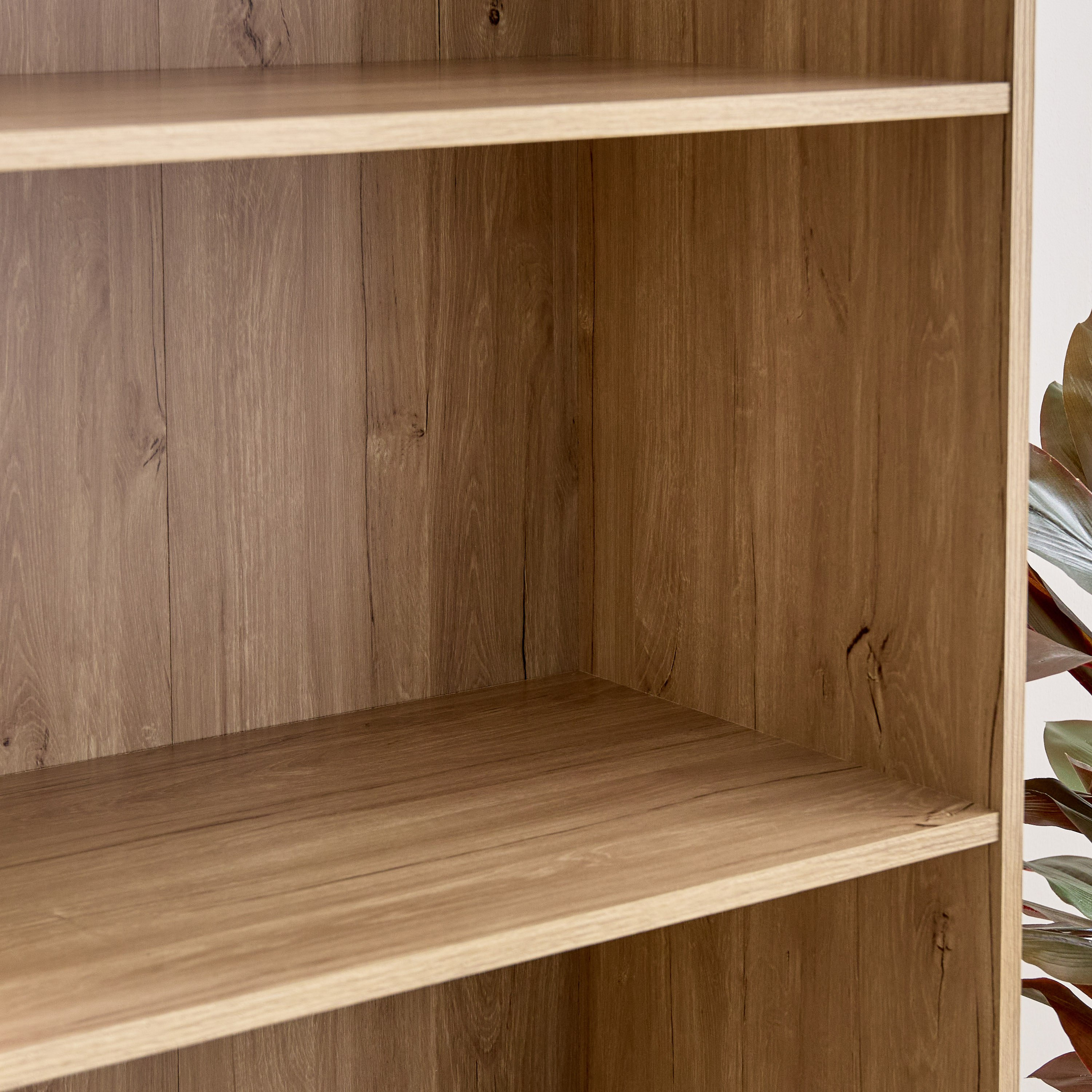 خزانة كتب بدرجين - فيرن من موڤو-hbxfurniture-office-bookcases-image-6