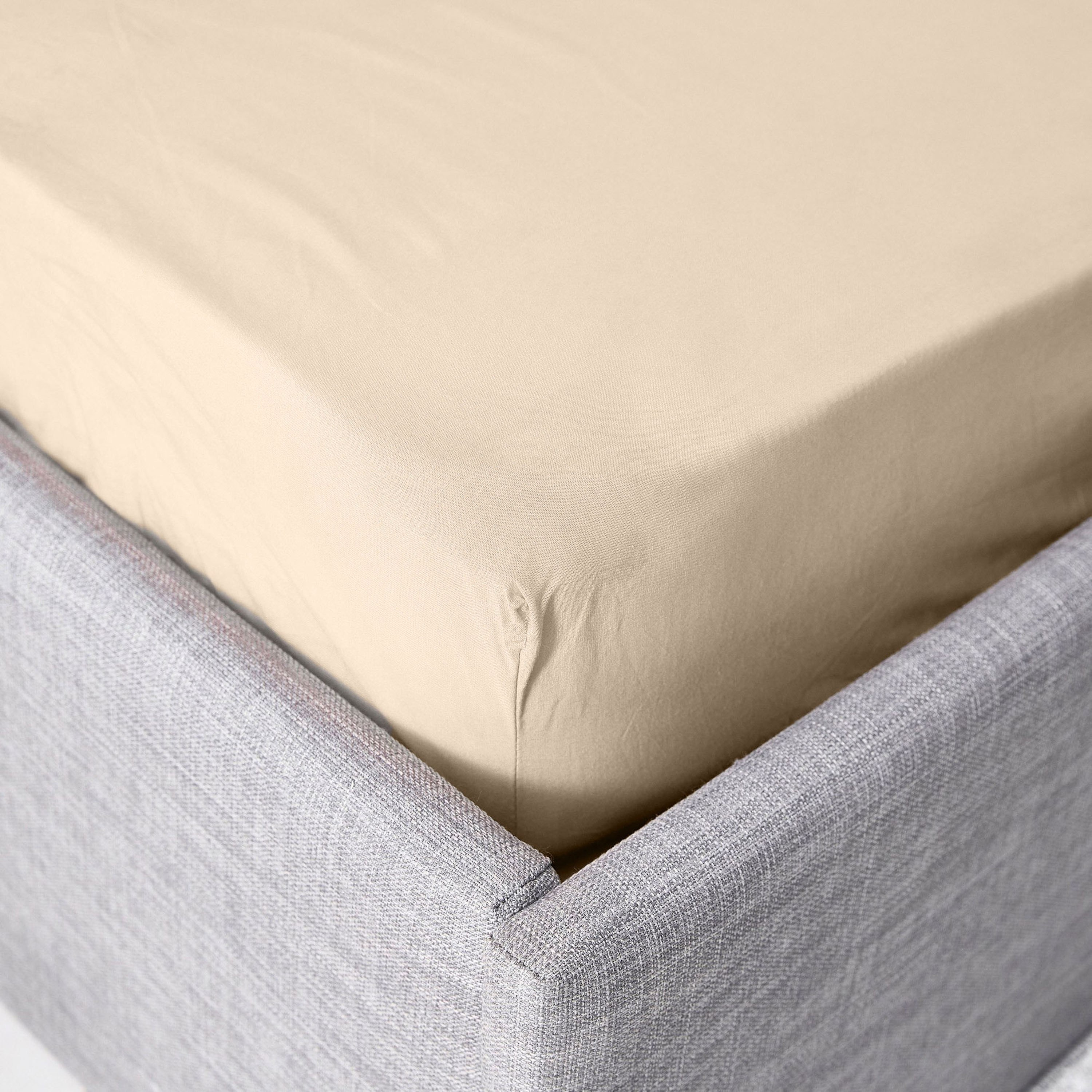 Ballina Solid Cotton Queen Fitted Sheet - 150x200+33 cm-hbxhomeware-hbxbedroom-image-1