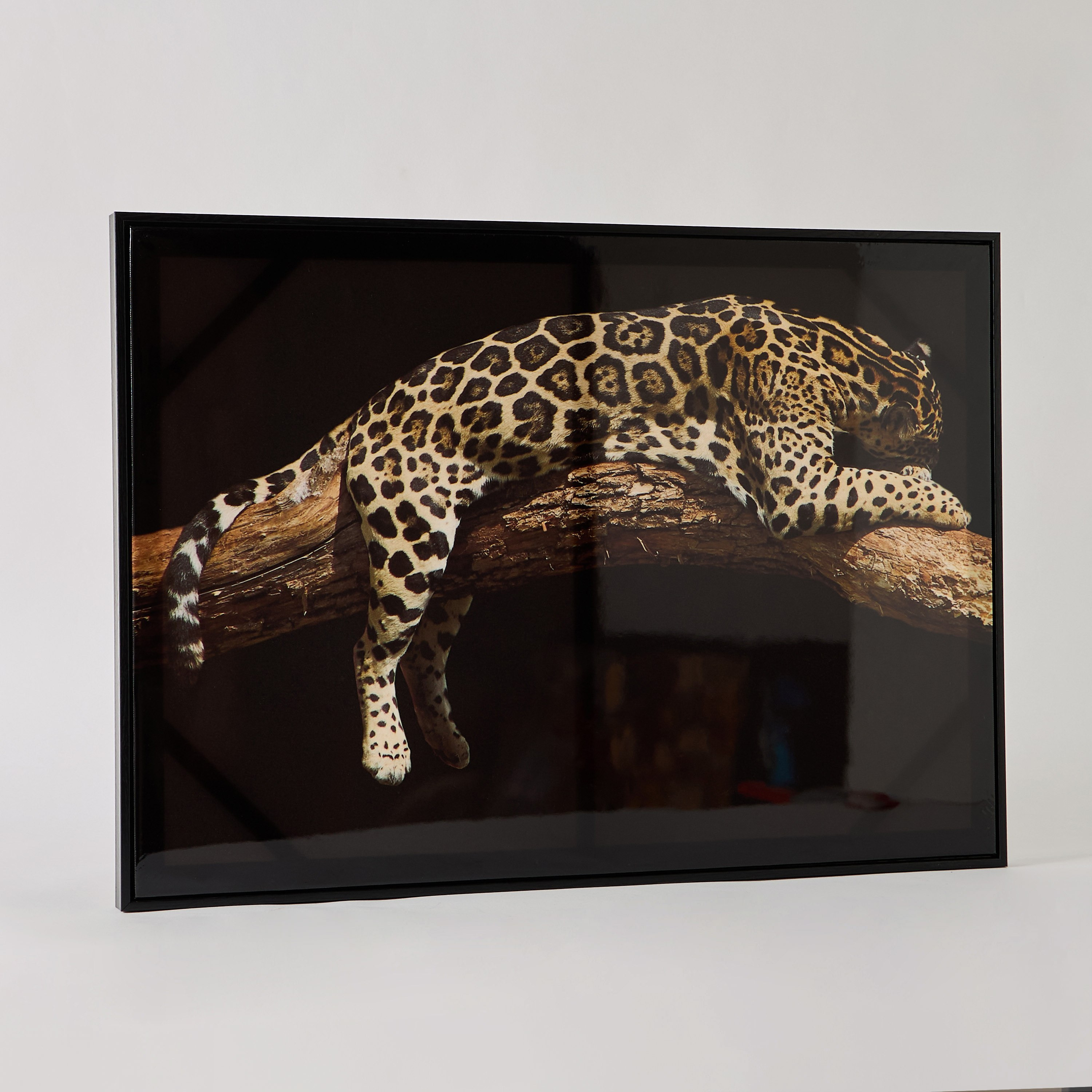 لوحة مؤطرة بتصميم فهد من إرسيل - 50x70x2.5 سم-hbxhomeware-hbxdecorandfurnishings-image-1