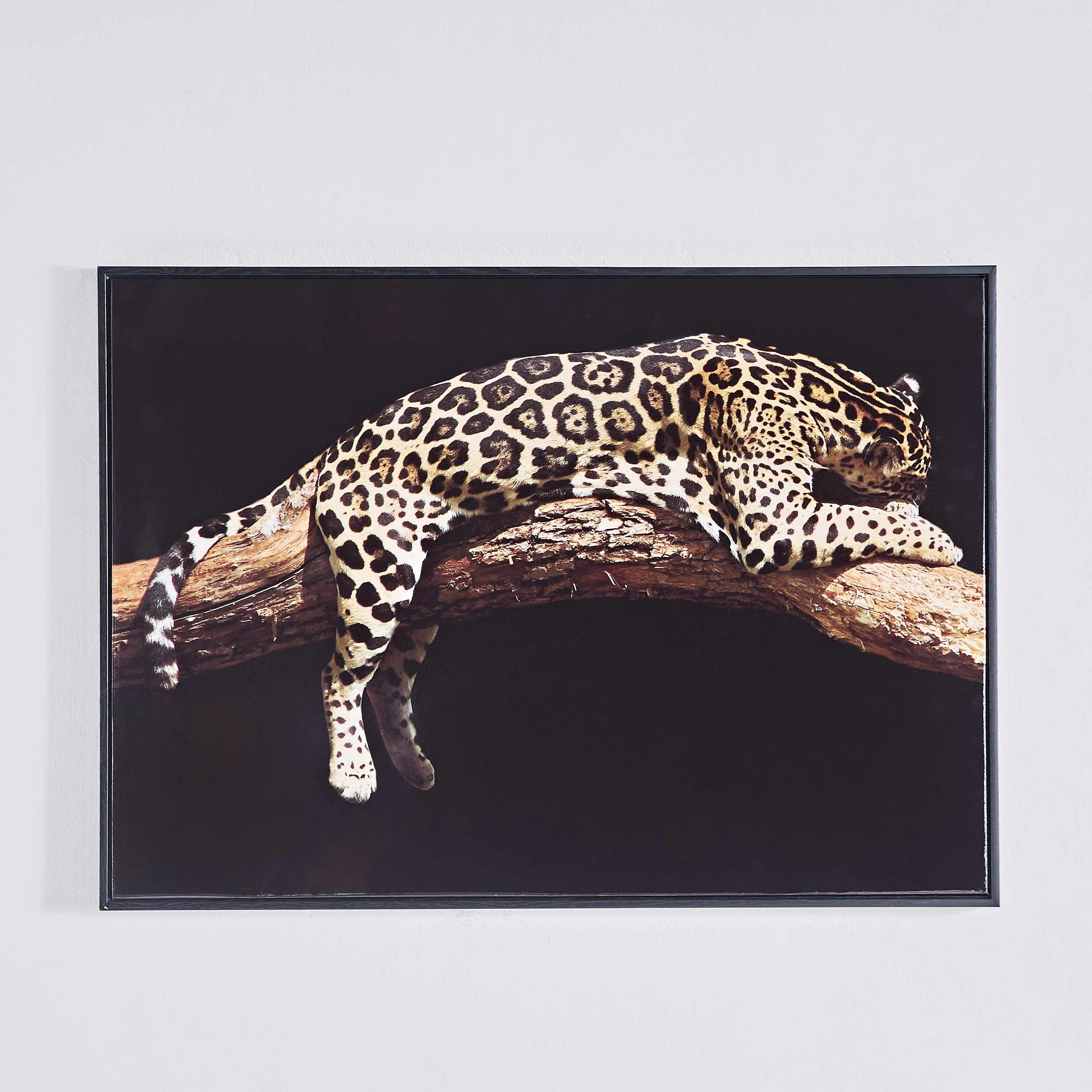 لوحة مؤطرة بتصميم فهد من إرسيل - 50x70x2.5 سم-hbxhomeware-hbxdecorandfurnishings-image-2