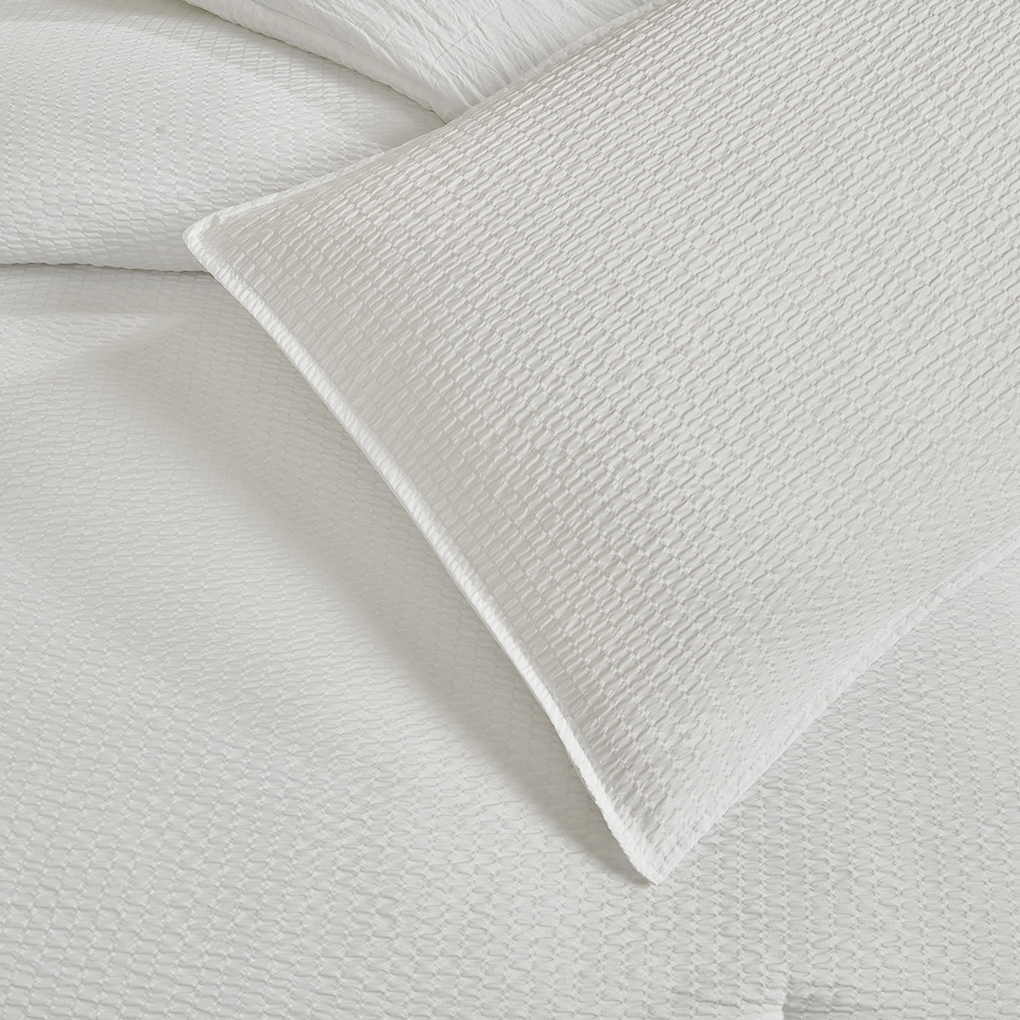 طقم لحاف توين 3 قطع من وايت بليس - 150×220 سم-hbxhomeware-hbxbedroom-image-3