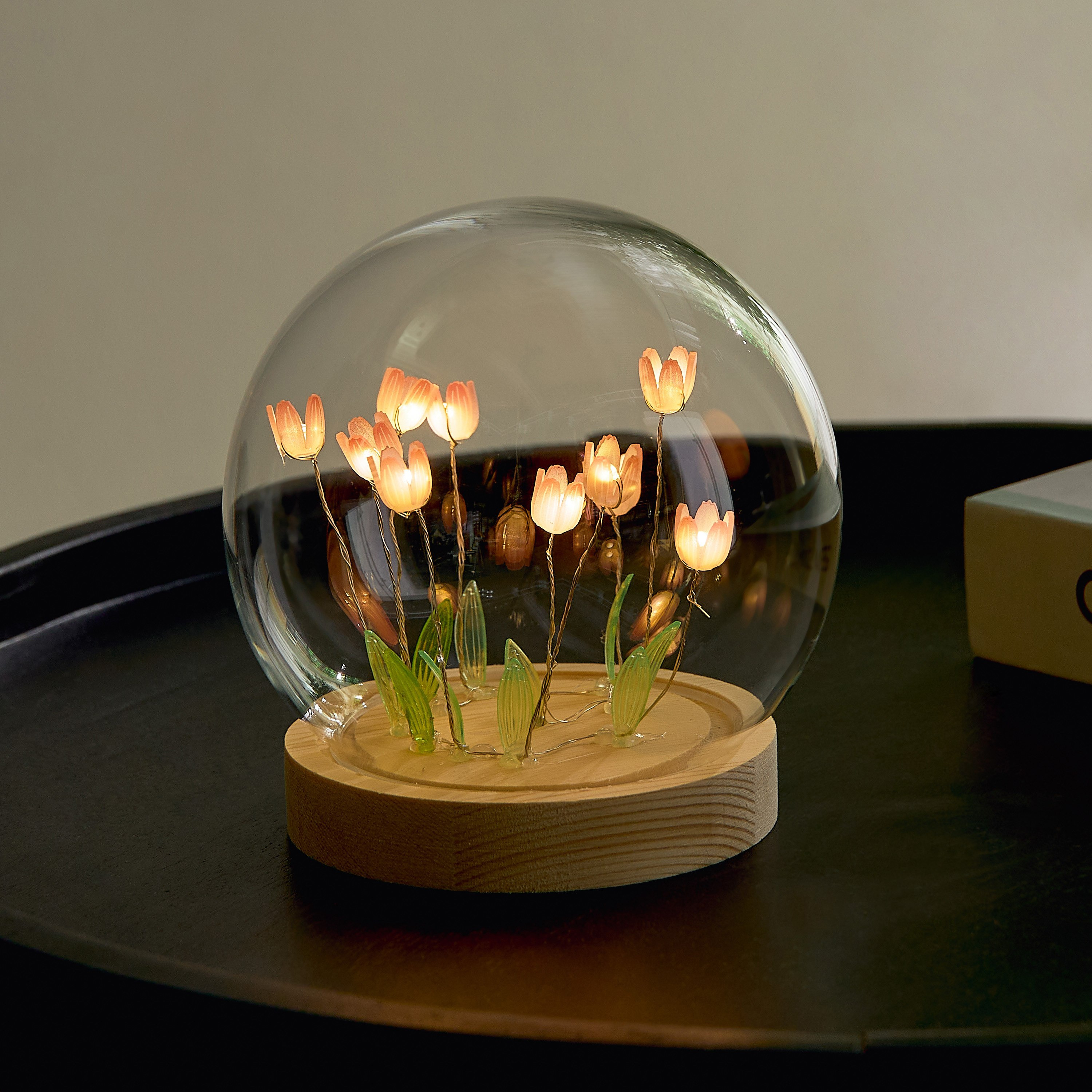 قبة زجاجية كروية بزهورأكريليك و10 لمبات إل إي دي دافئة من دوكس-hbxdiningroom-lighting-decorativesandstringlights-image-1