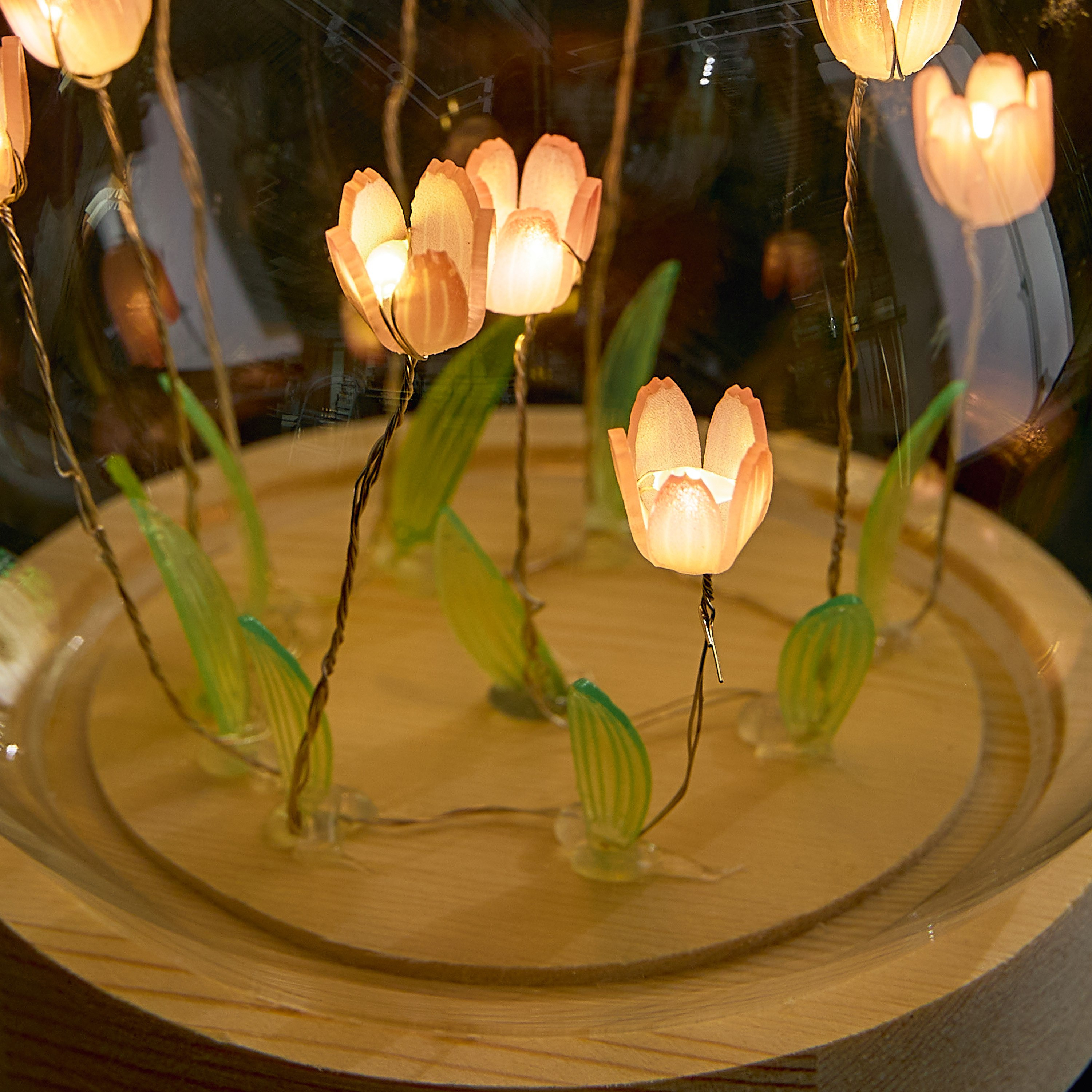قبة زجاجية كروية بزهورأكريليك و10 لمبات إل إي دي دافئة من دوكس-hbxdiningroom-lighting-decorativesandstringlights-image-3