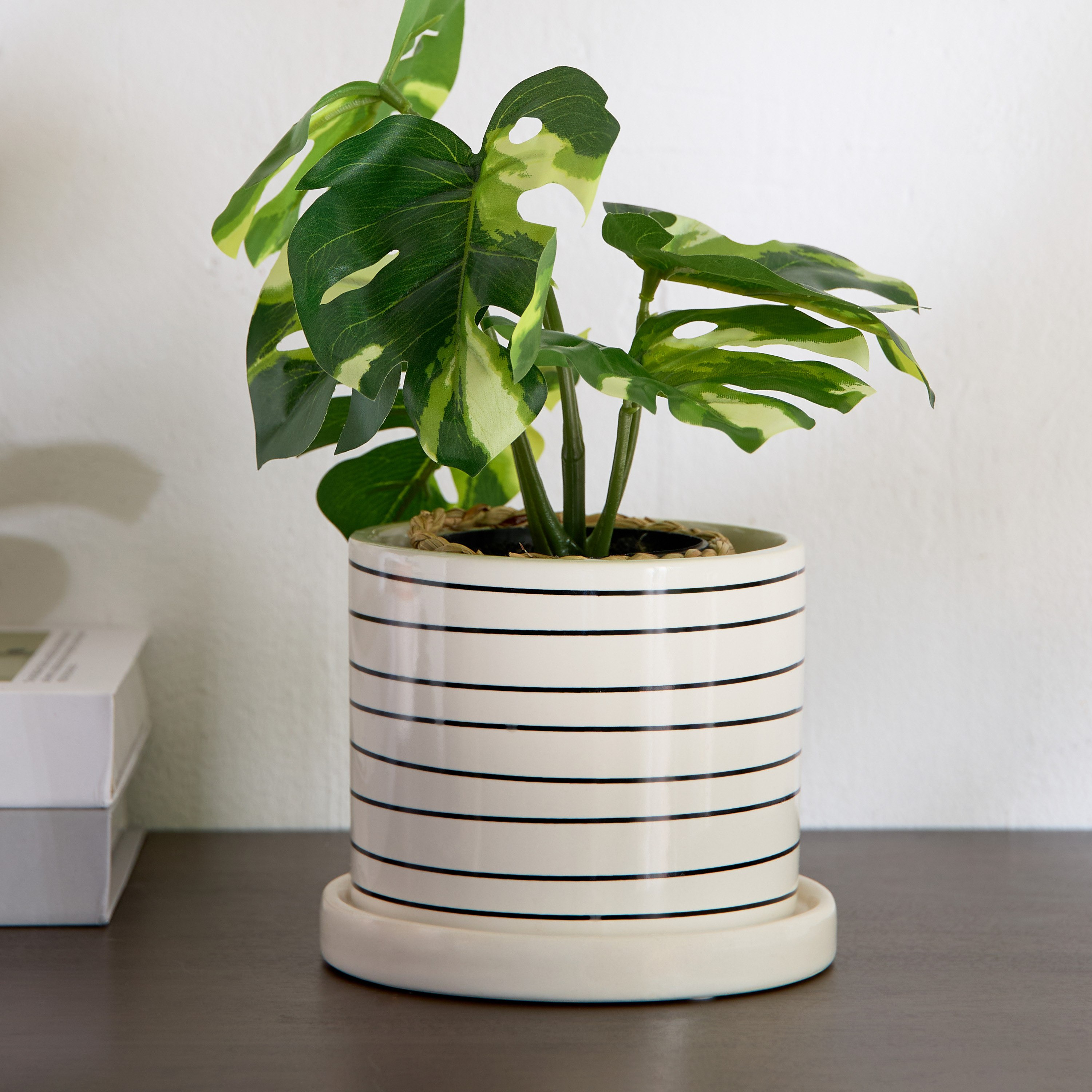 إناء نبات دولوميت من فيسوس - 11.5x11.5x10.4 سم-hbxlivingroom-decorandaccessories-plantersandurns-image-1