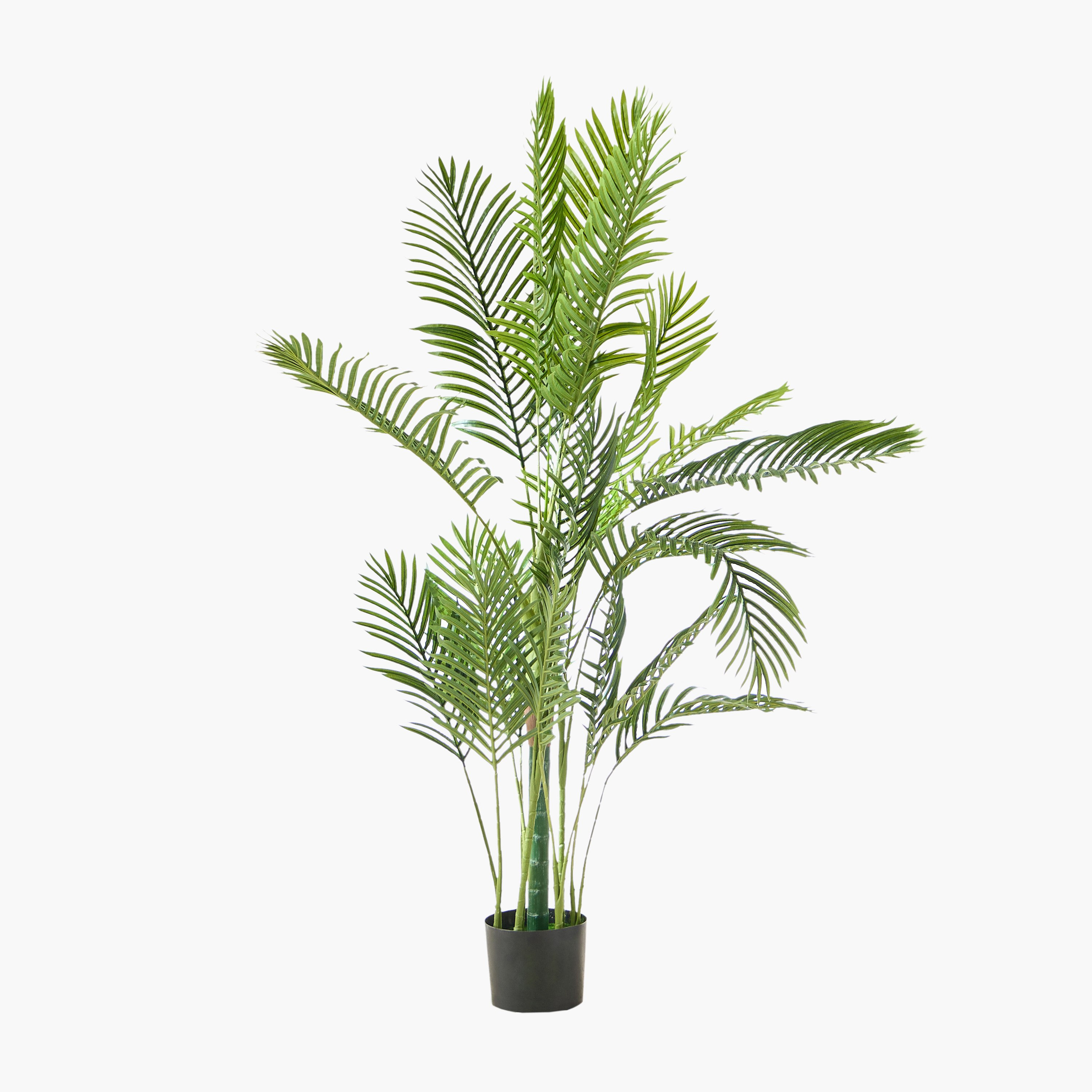 شجرة نخيل هاواي صناعية من تيودورا - 150 سم-hbxdecorandfurnishings-homeaccessories-artificialflowersandplants-image-5