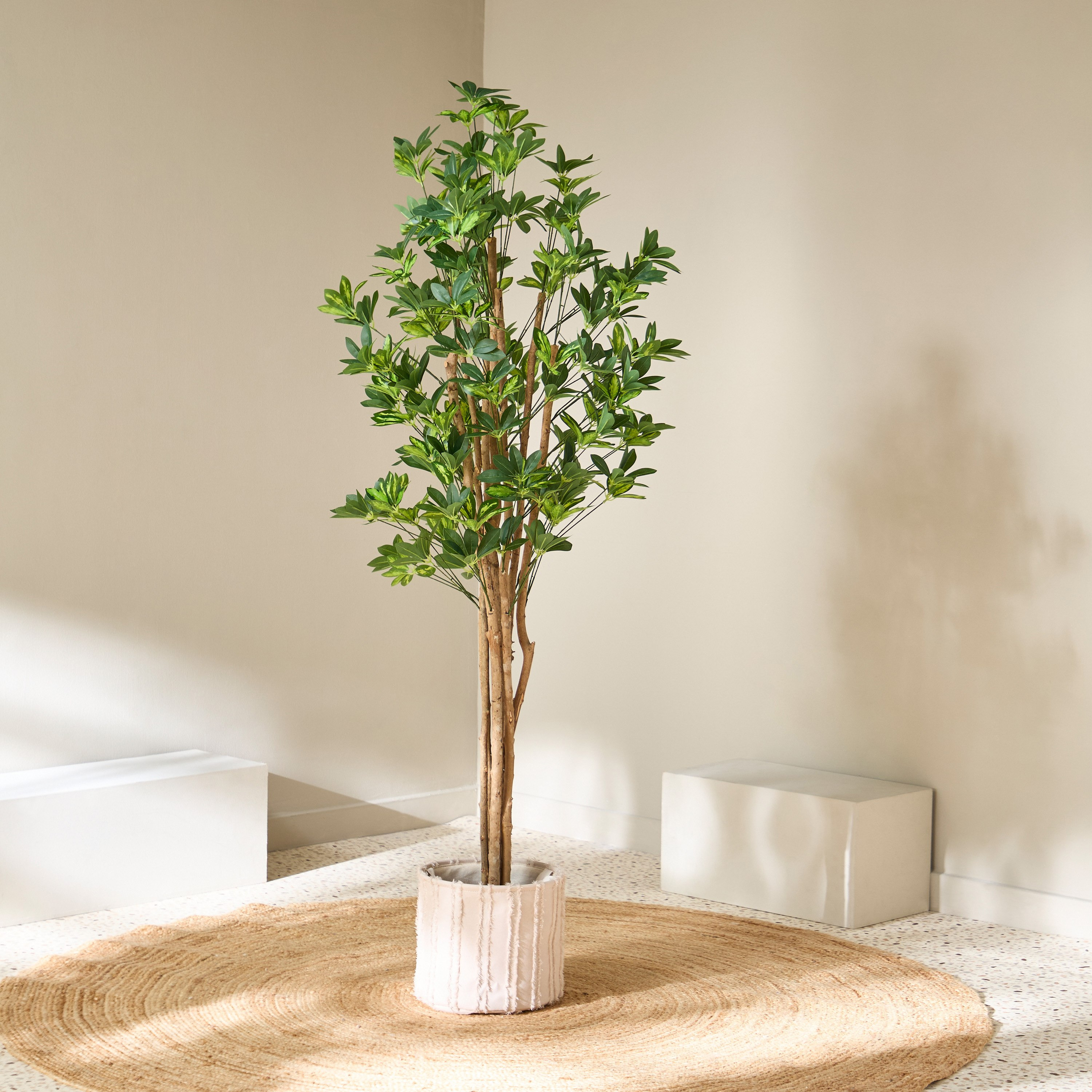 شجرة شيفليرا صناعية من تيودورا - 180 سم-hbxdecorandfurnishings-homeaccessories-artificialflowersandplants-image-1