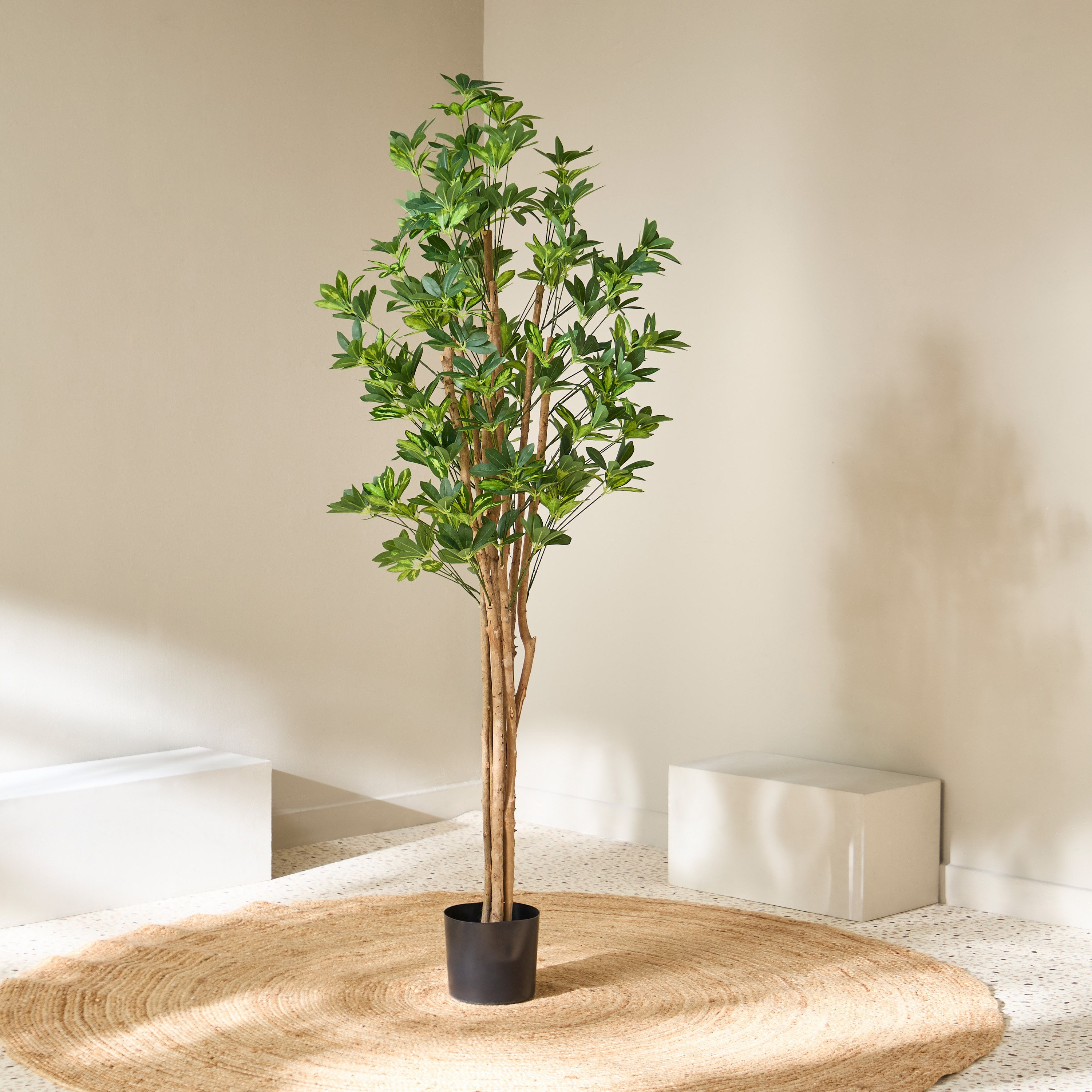 شجرة شيفليرا صناعية من تيودورا - 180 سم-hbxdecorandfurnishings-homeaccessories-artificialflowersandplants-image-2